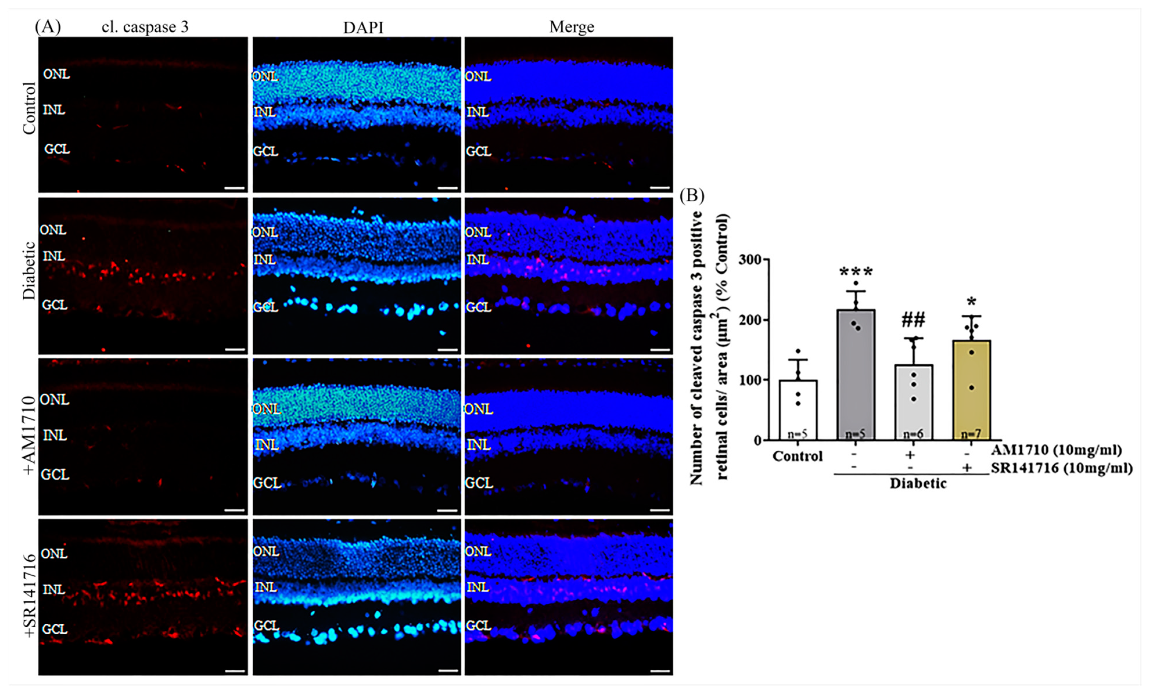 Ijms 24 00240 g004 Ijms 24 00240 g004