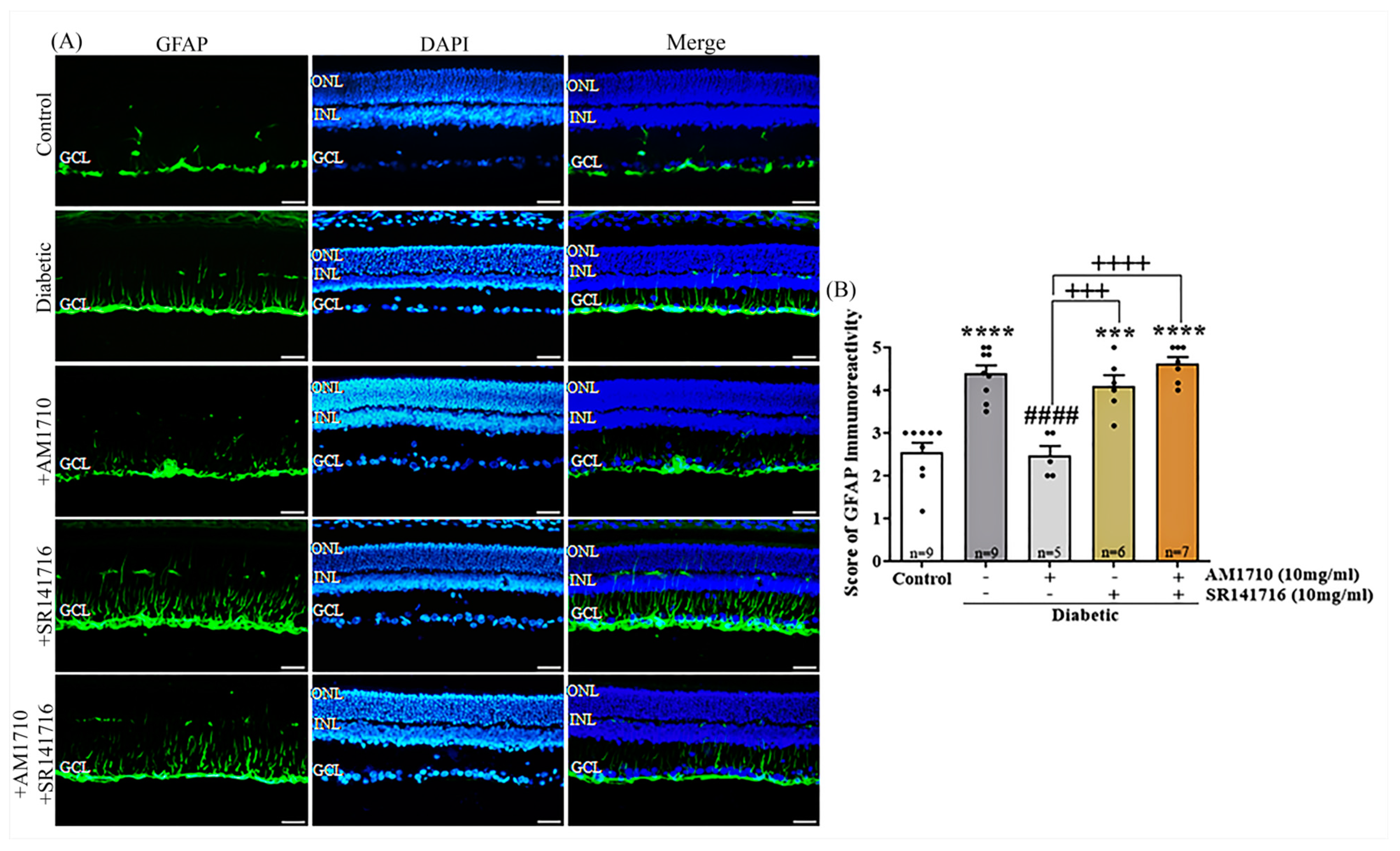 Ijms 24 00240 g005 Ijms 24 00240 g005