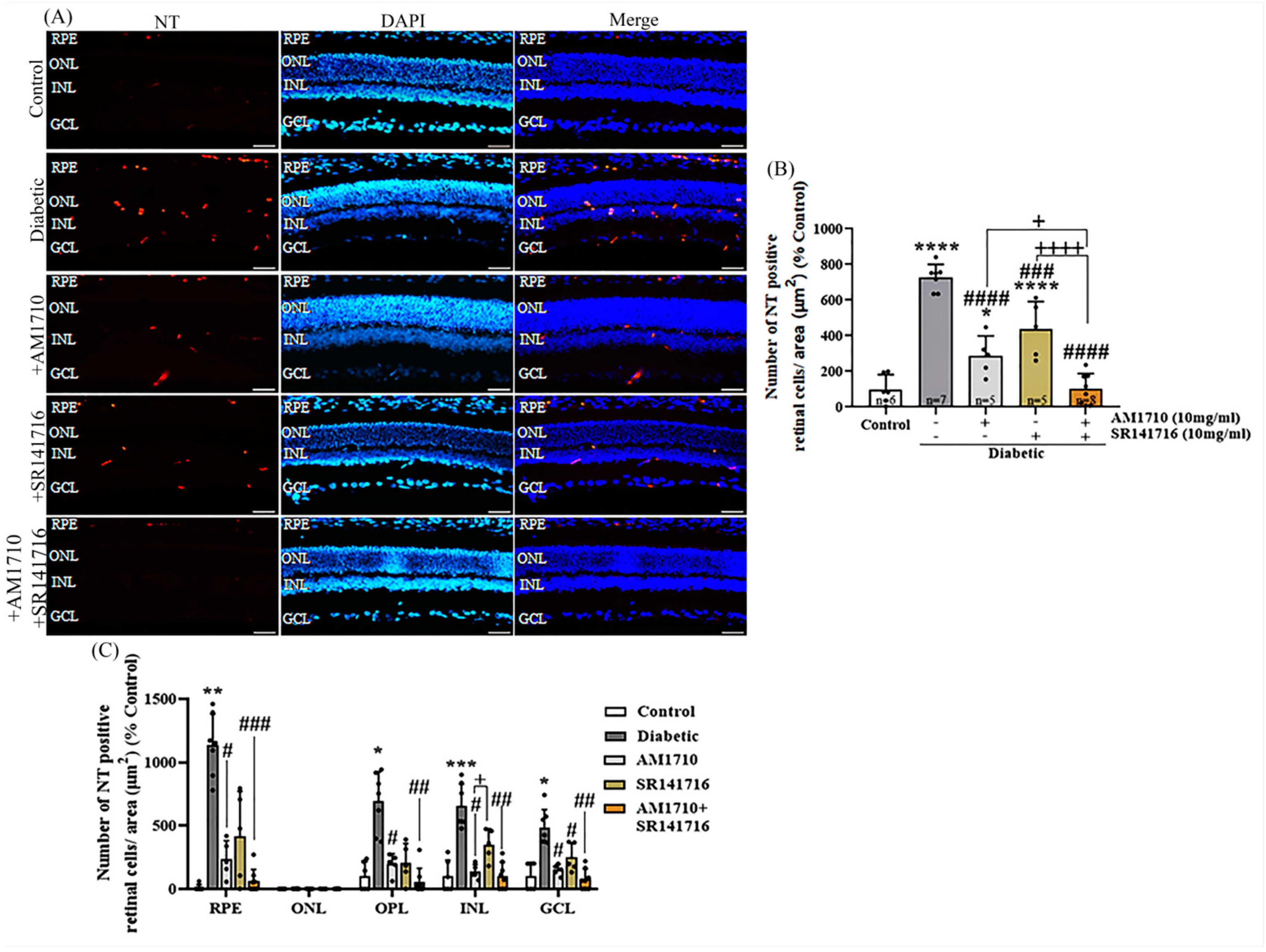 Ijms 24 00240 g007 Ijms 24 00240 g007
