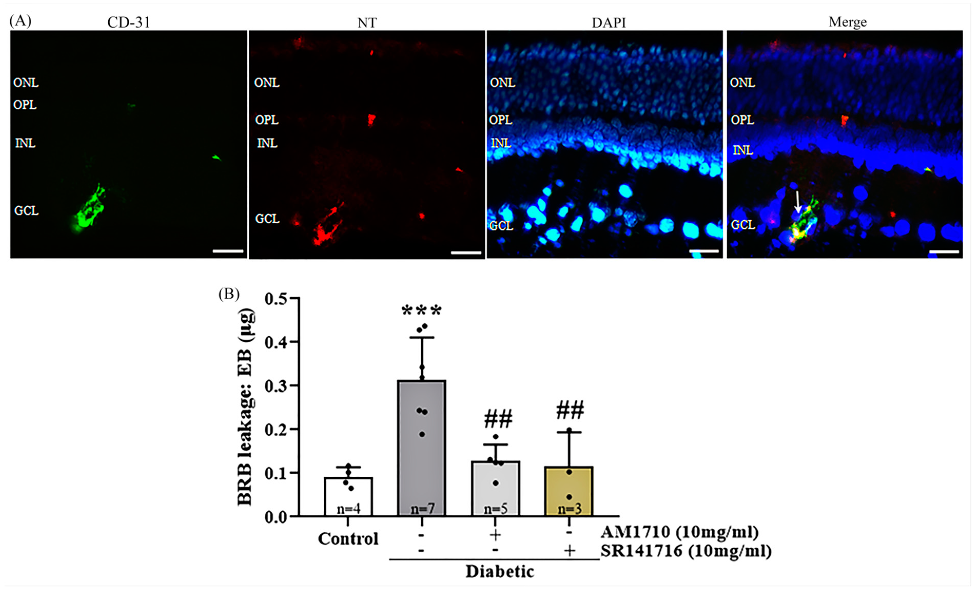 Ijms 24 00240 g008 Ijms 24 00240 g008