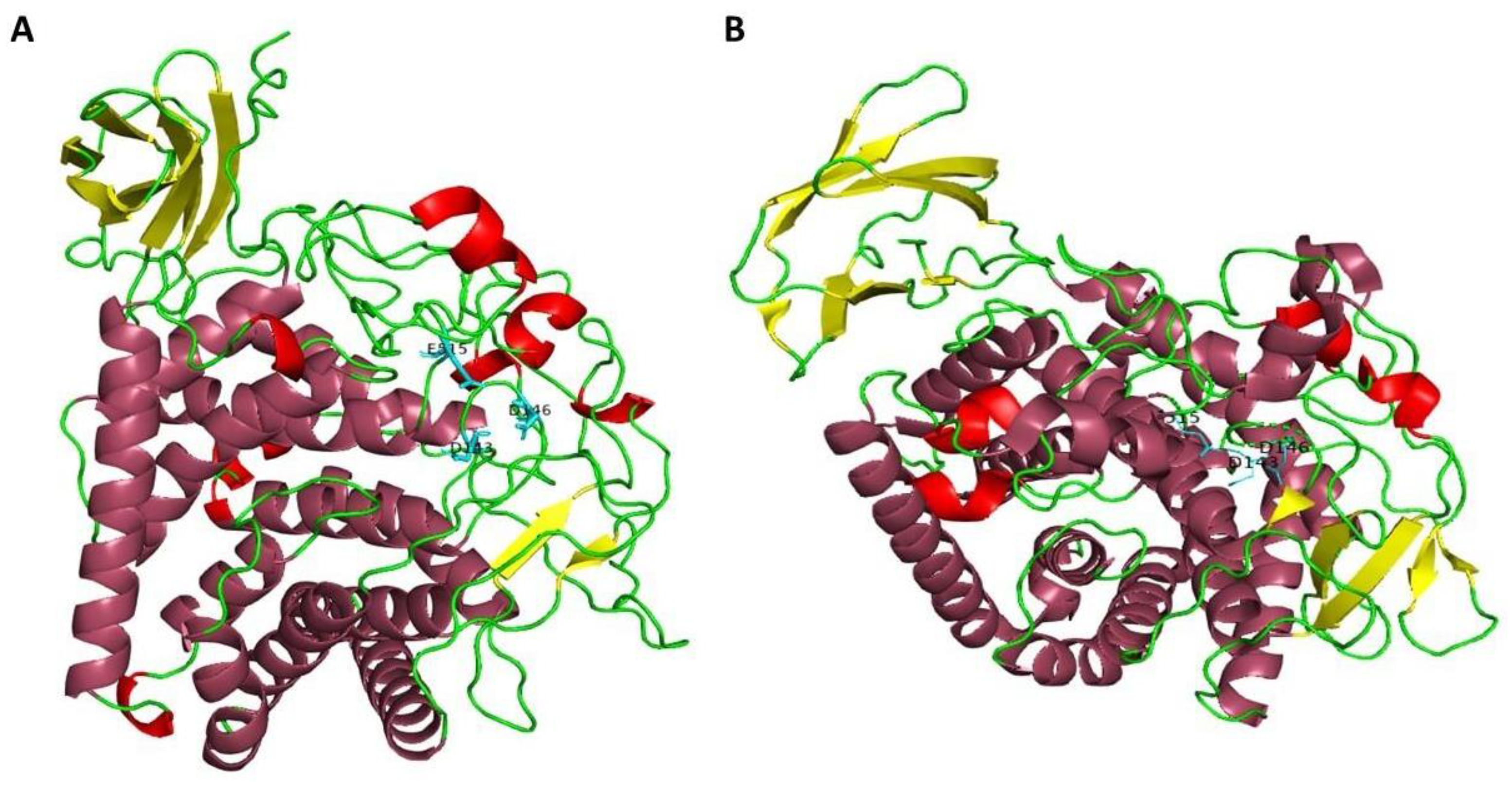 Ijms 24 00243 g004 Ijms 24 00243 g004