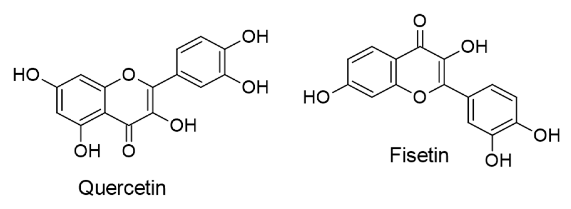 Ijms 24 00247 g006 Ijms 24 00247 g006