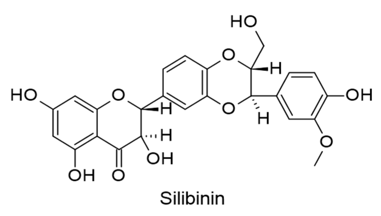 Ijms 24 00247 g009 Ijms 24 00247 g009