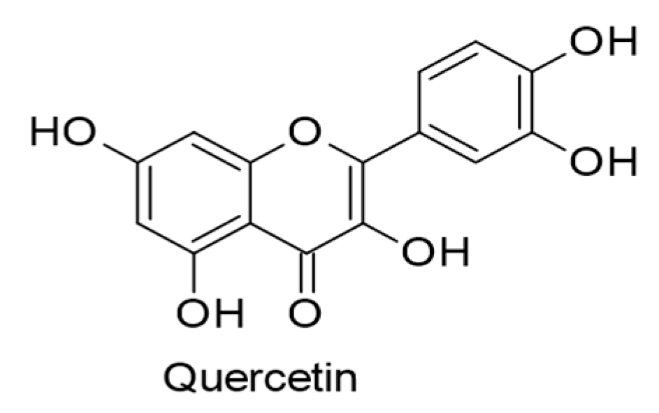 Ijms 24 00247 g012 Ijms 24 00247 g012