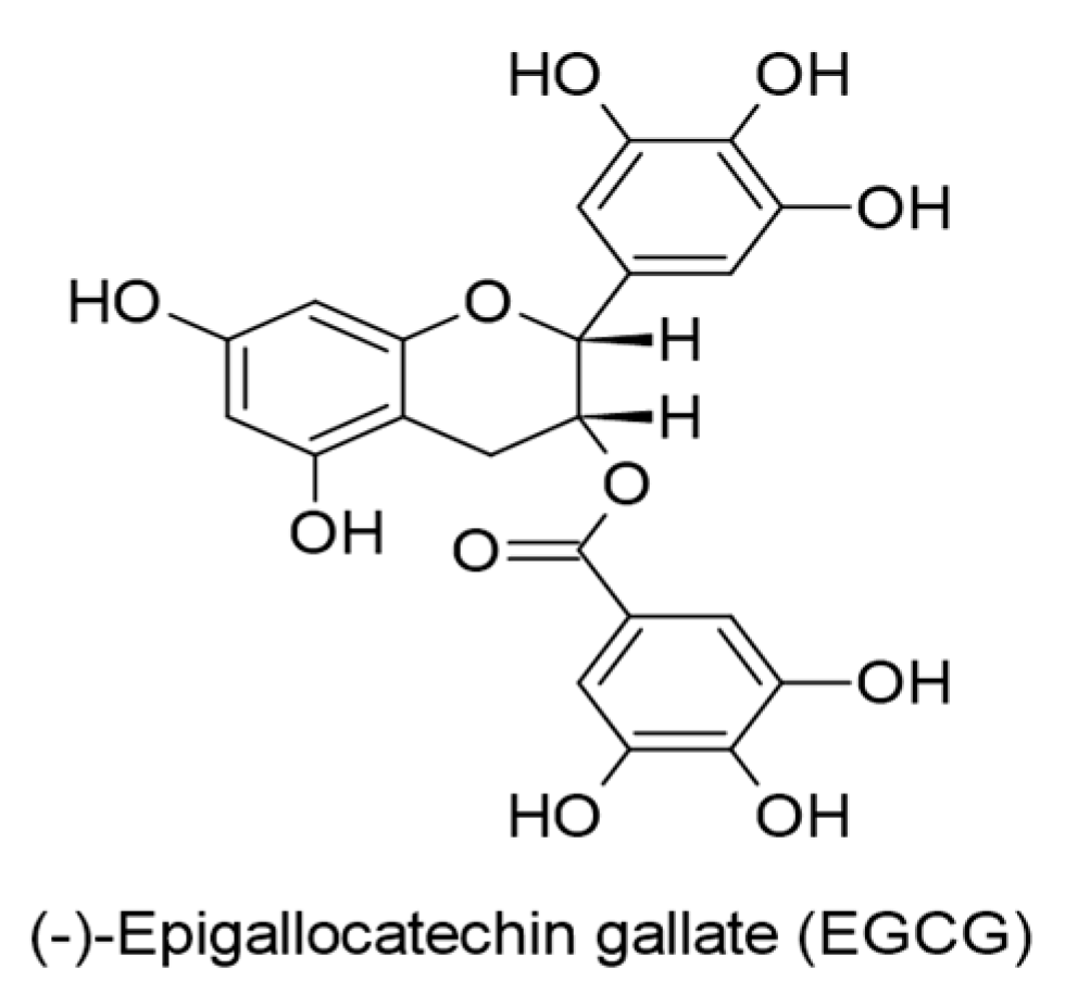 Ijms 24 00247 g013 Ijms 24 00247 g013