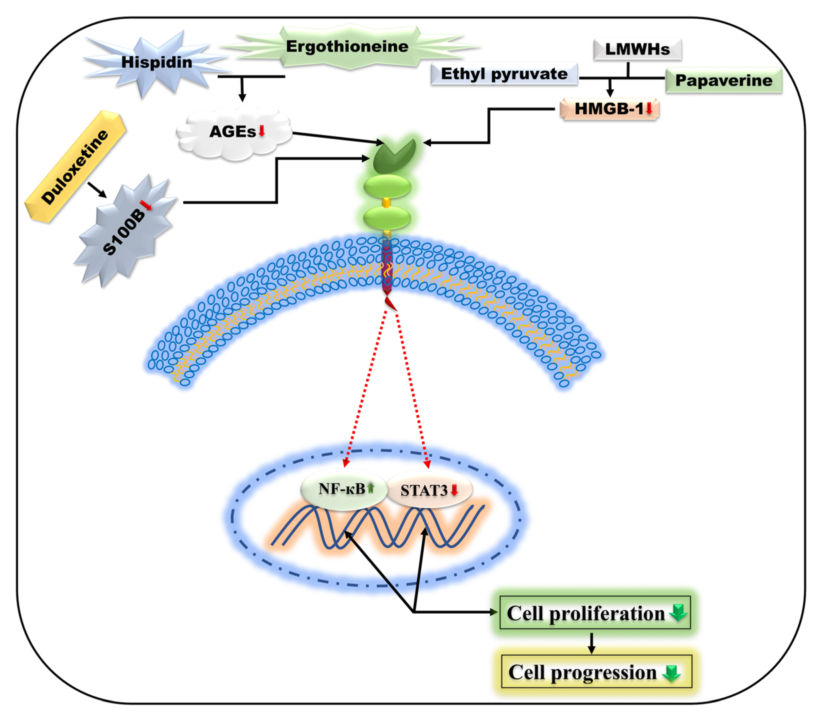 Ijms 24 00266 g005 Ijms 24 00266 g005