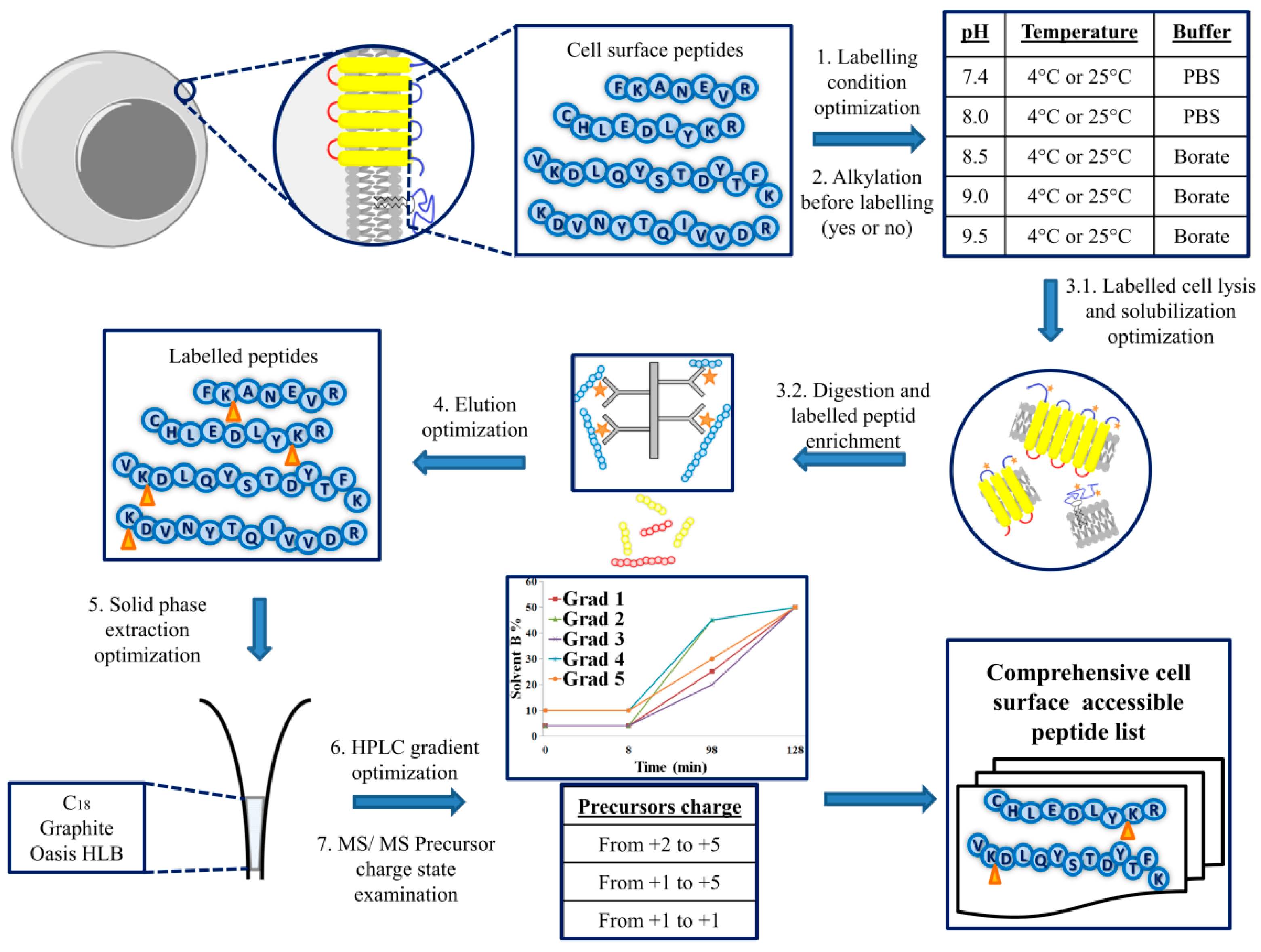 Ijms 24 00273 g001 Ijms 24 00273 g001