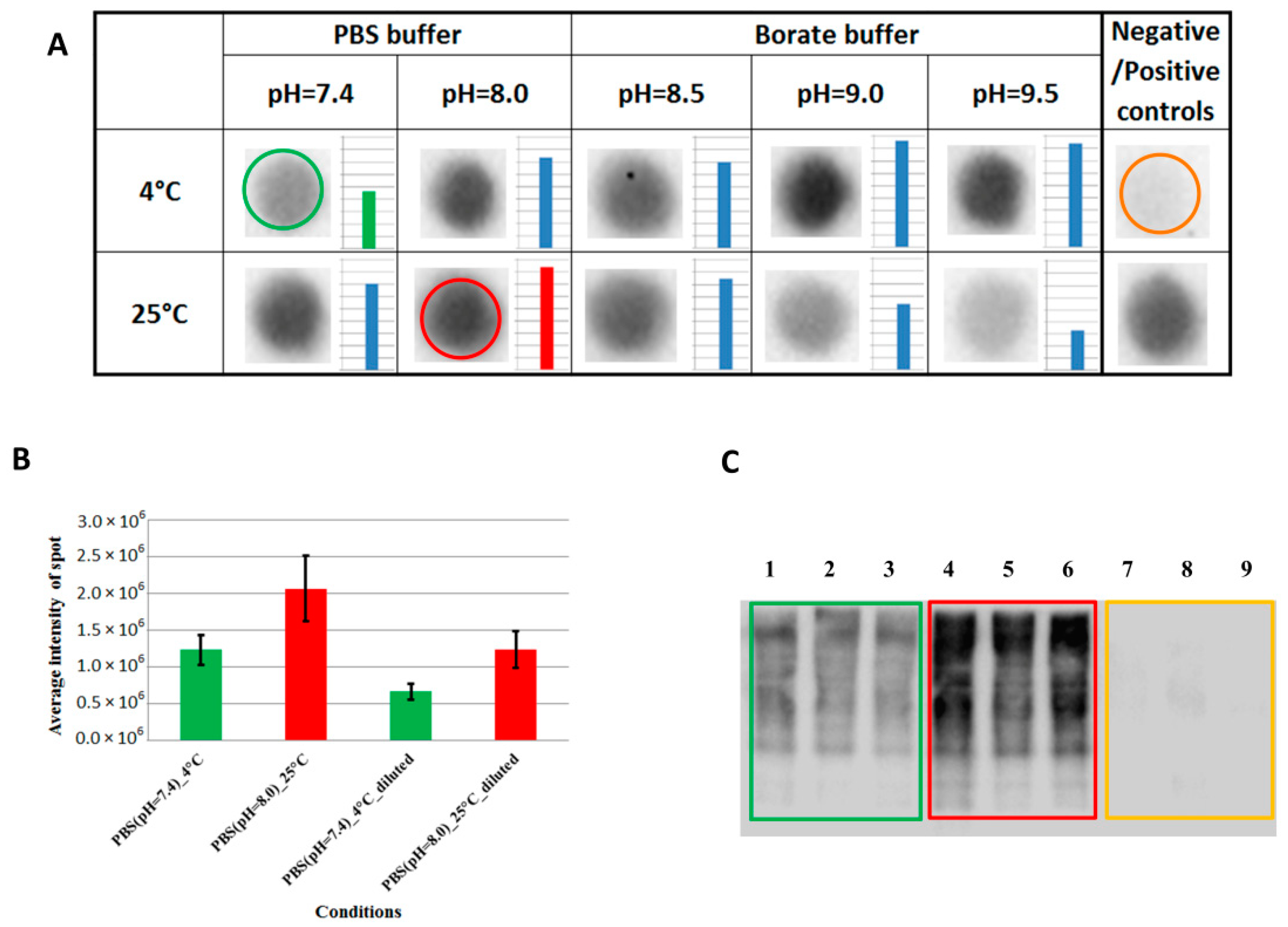 Ijms 24 00273 g002 Ijms 24 00273 g002