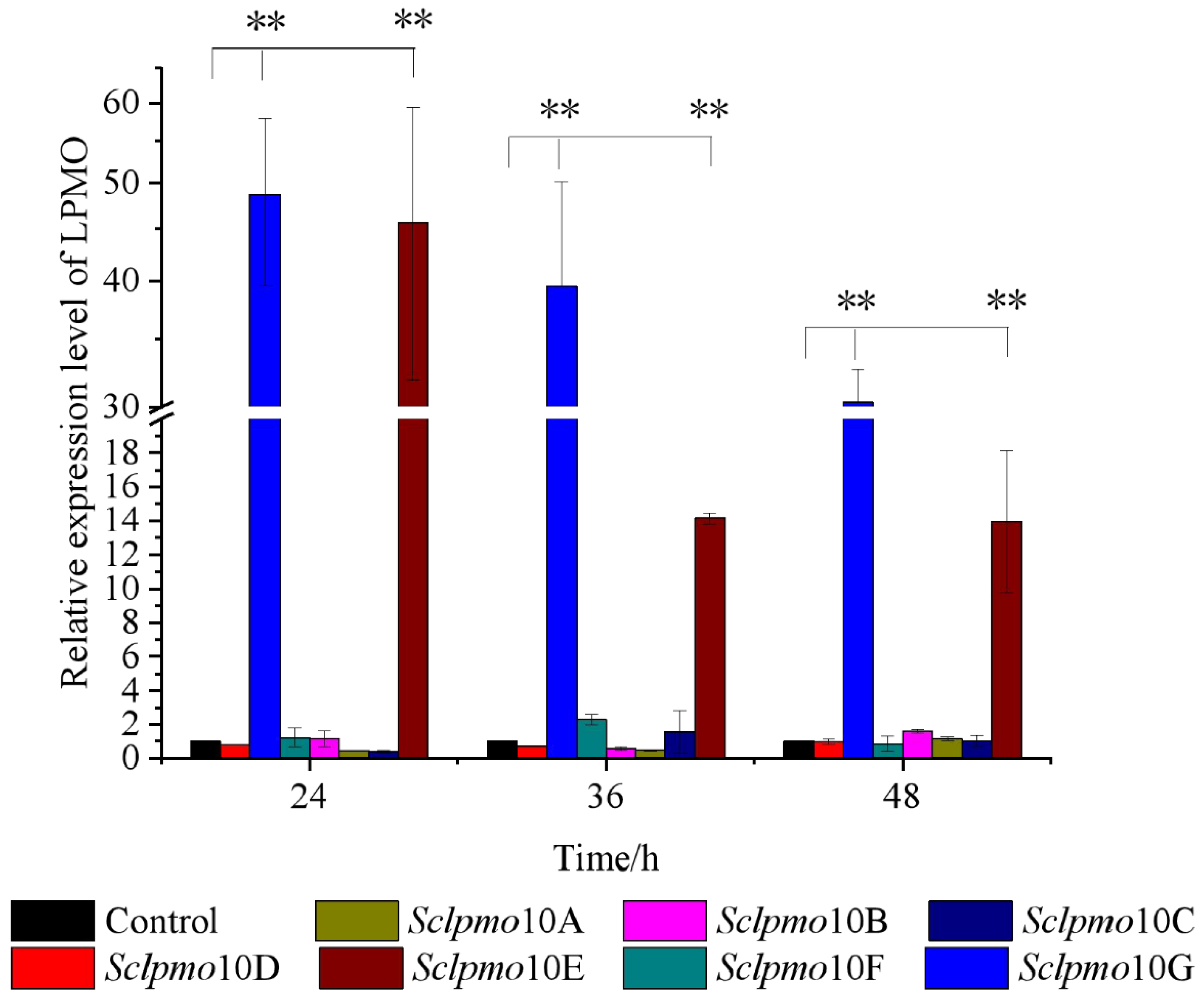 Ijms 24 00275 g001 Ijms 24 00275 g001
