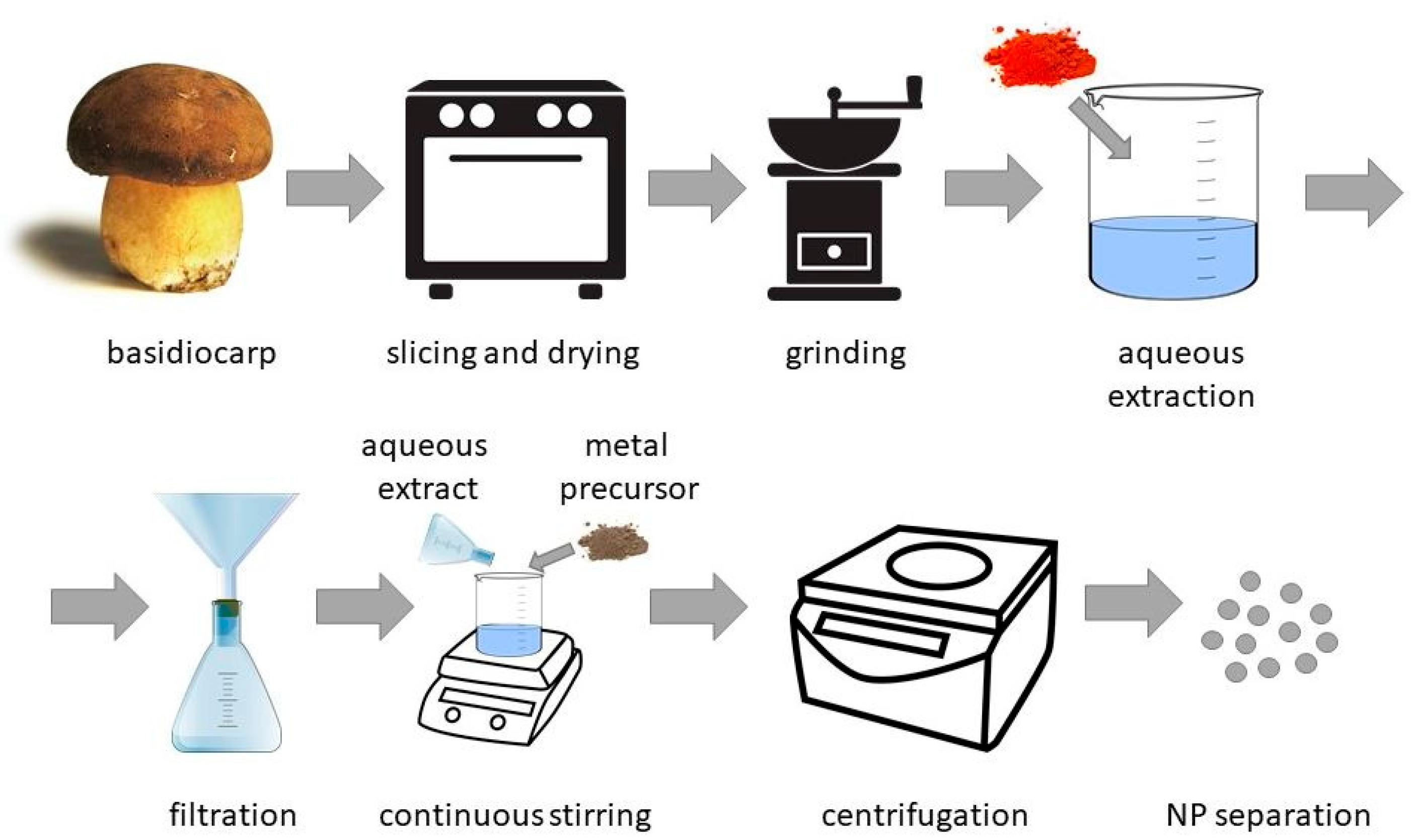 Ijms 24 00304 g002 Ijms 24 00304 g002