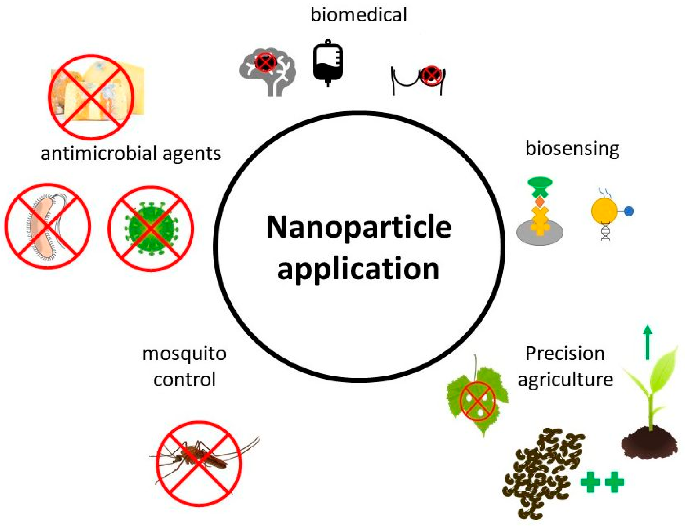 Ijms 24 00304 g003 Ijms 24 00304 g003