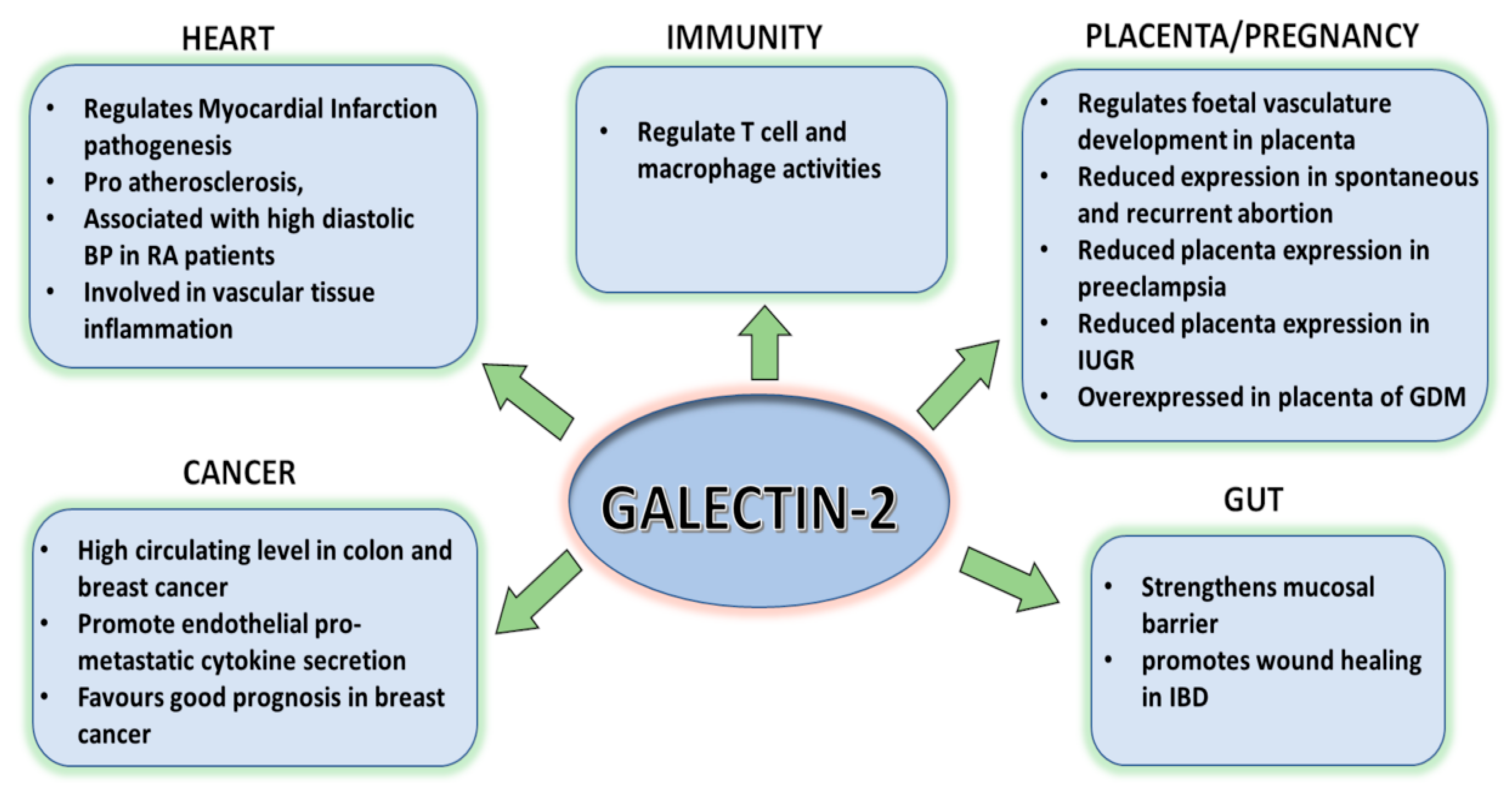 Ijms 24 00341 g002 Ijms 24 00341 g002