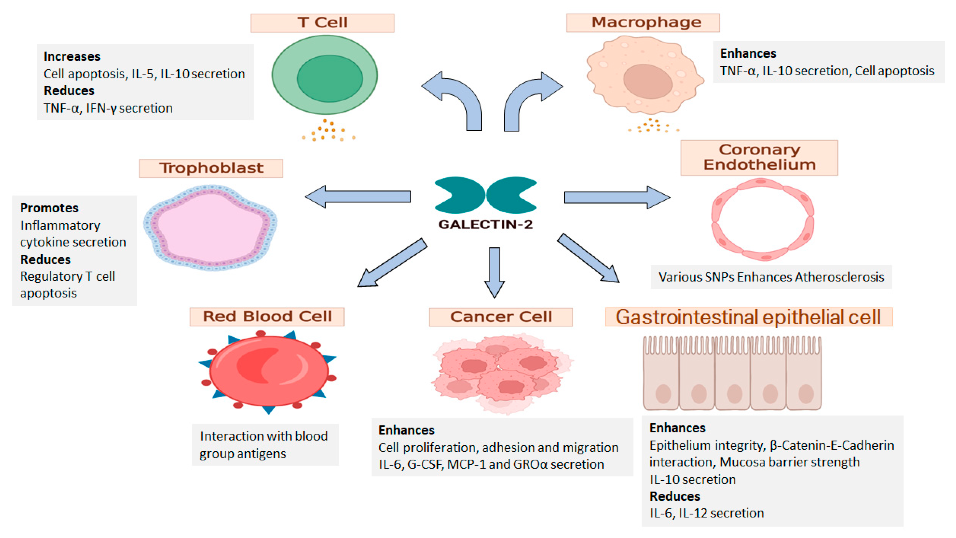 Ijms 24 00341 g003 Ijms 24 00341 g003
