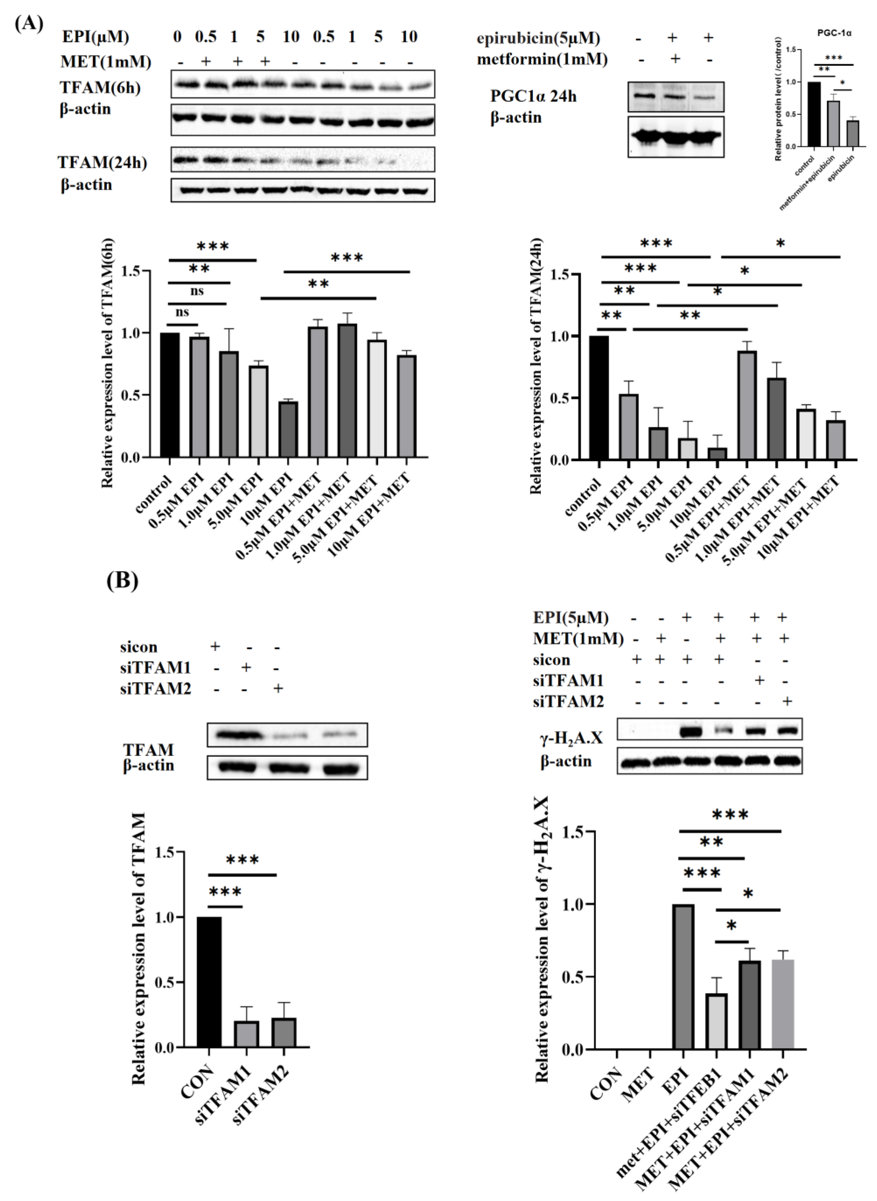 Ijms 24 00343 g002 Ijms 24 00343 g002