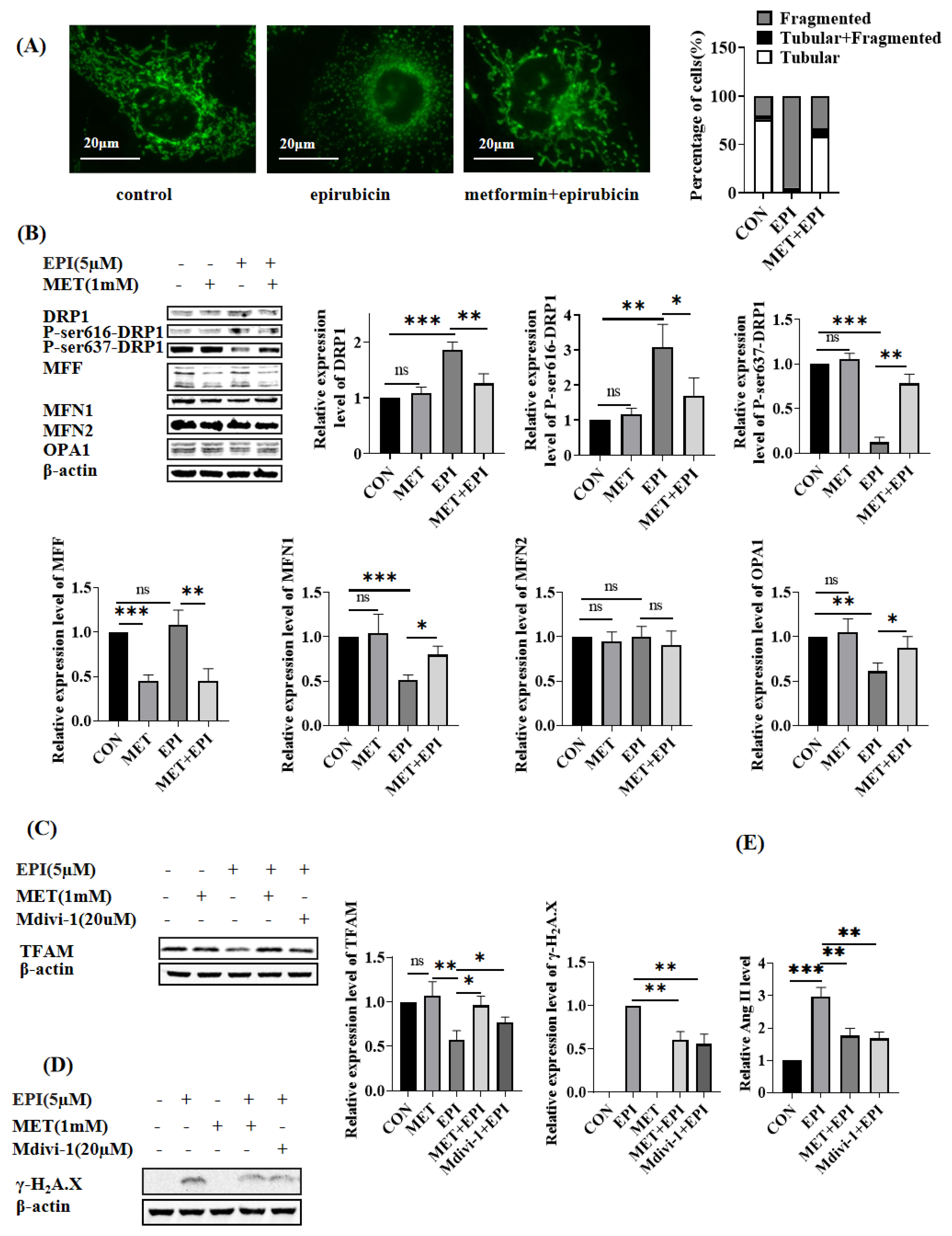 Ijms 24 00343 g003 Ijms 24 00343 g003