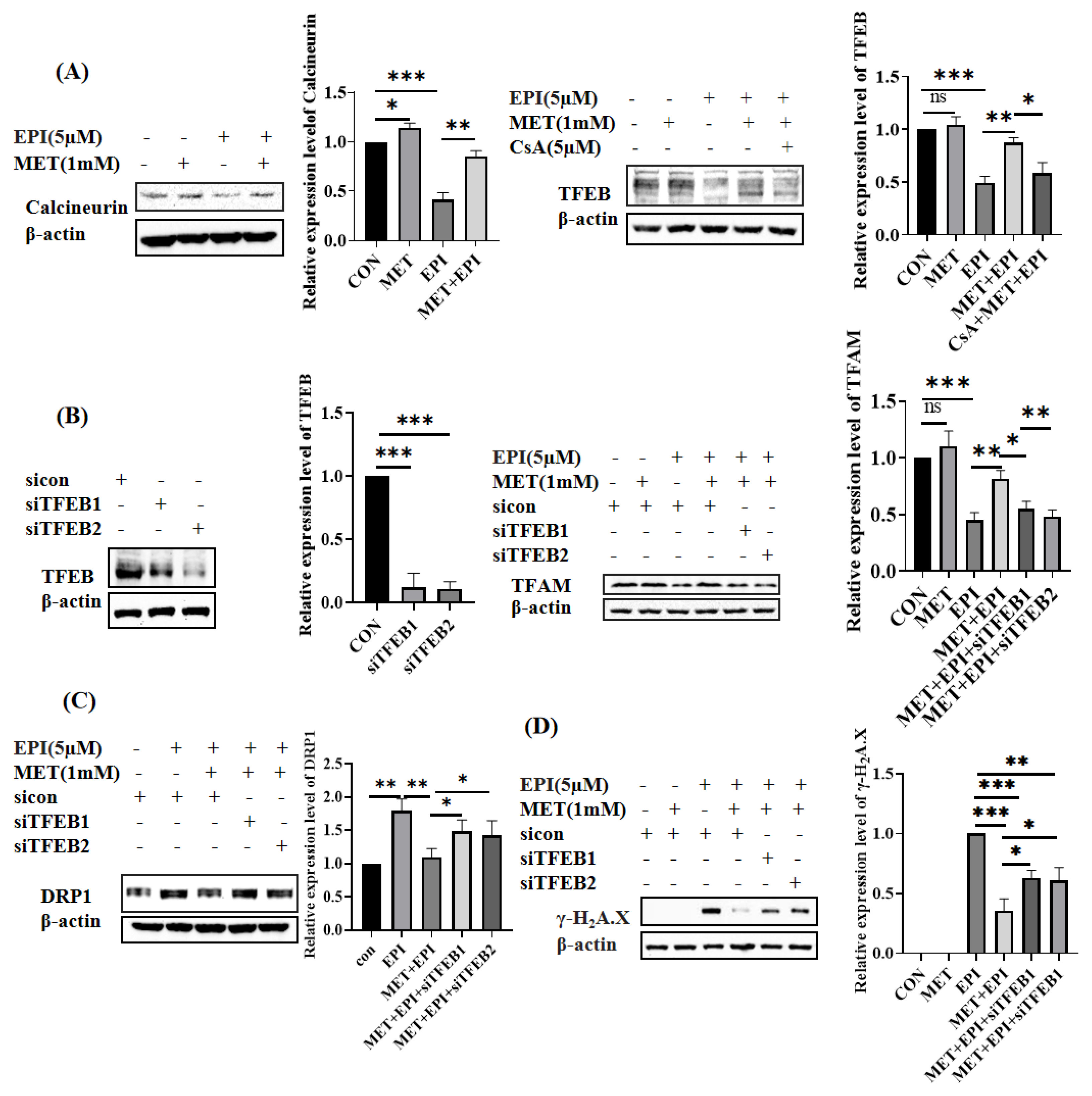 Ijms 24 00343 g004 Ijms 24 00343 g004