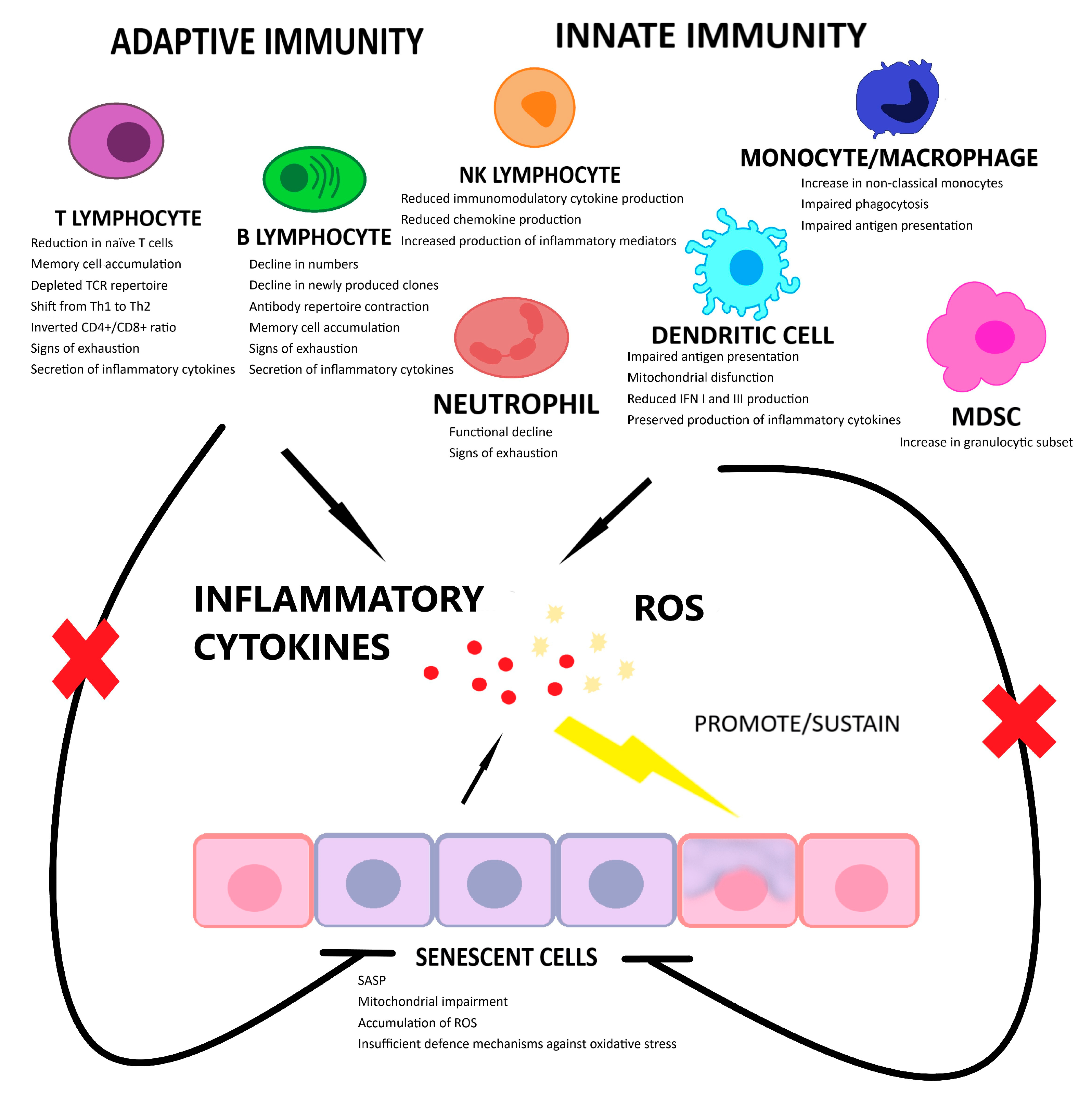 Ijms 24 00380 g001 Ijms 24 00380 g001