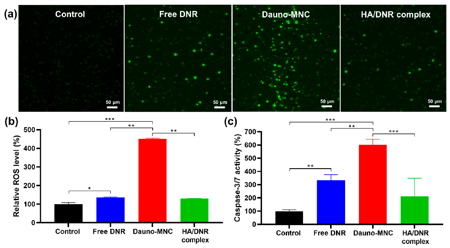 Ijms 24 00381 g007 Ijms 24 00381 g007