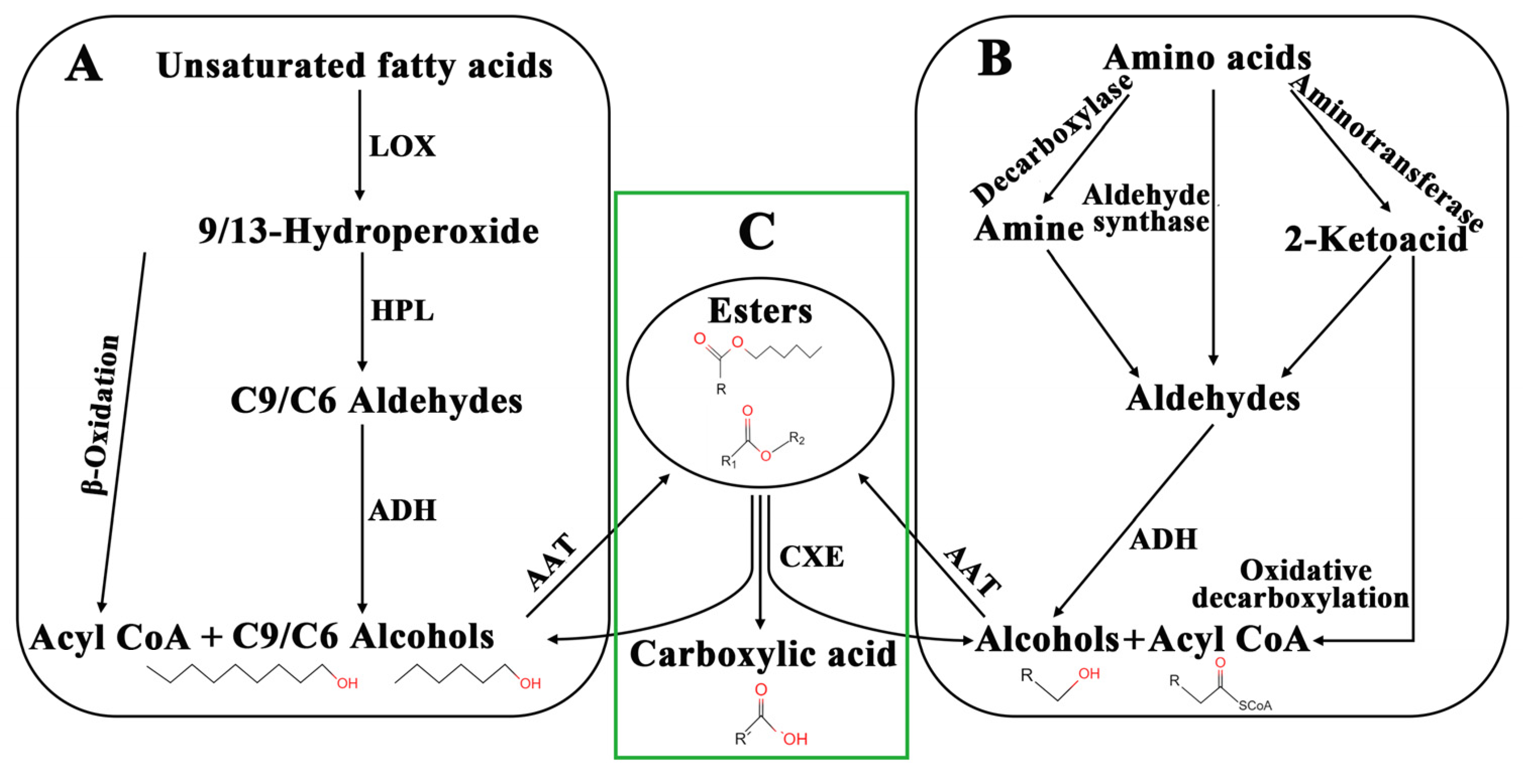 Ijms 24 00383 g001 Ijms 24 00383 g001