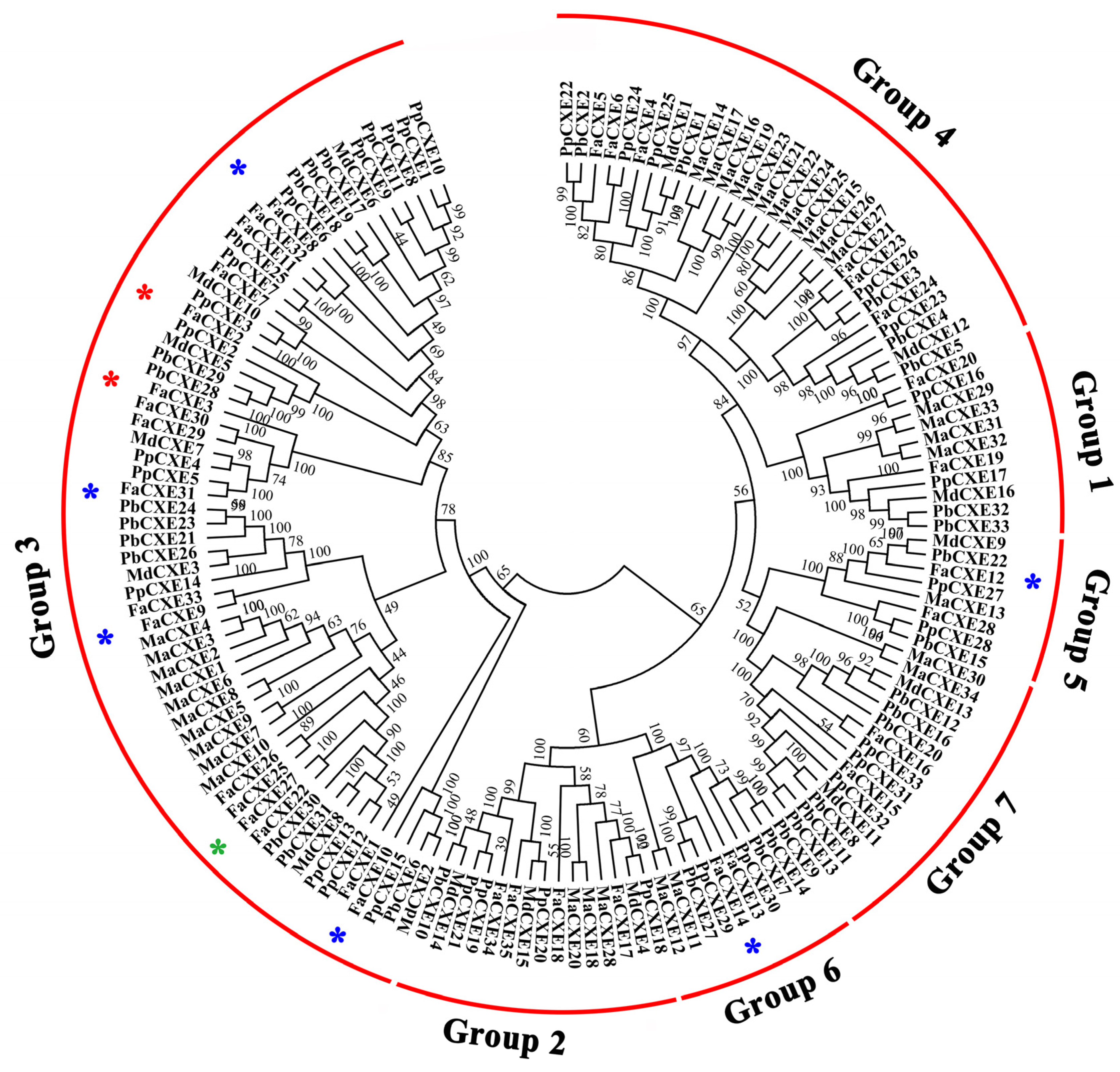 Ijms 24 00383 g003 Ijms 24 00383 g003