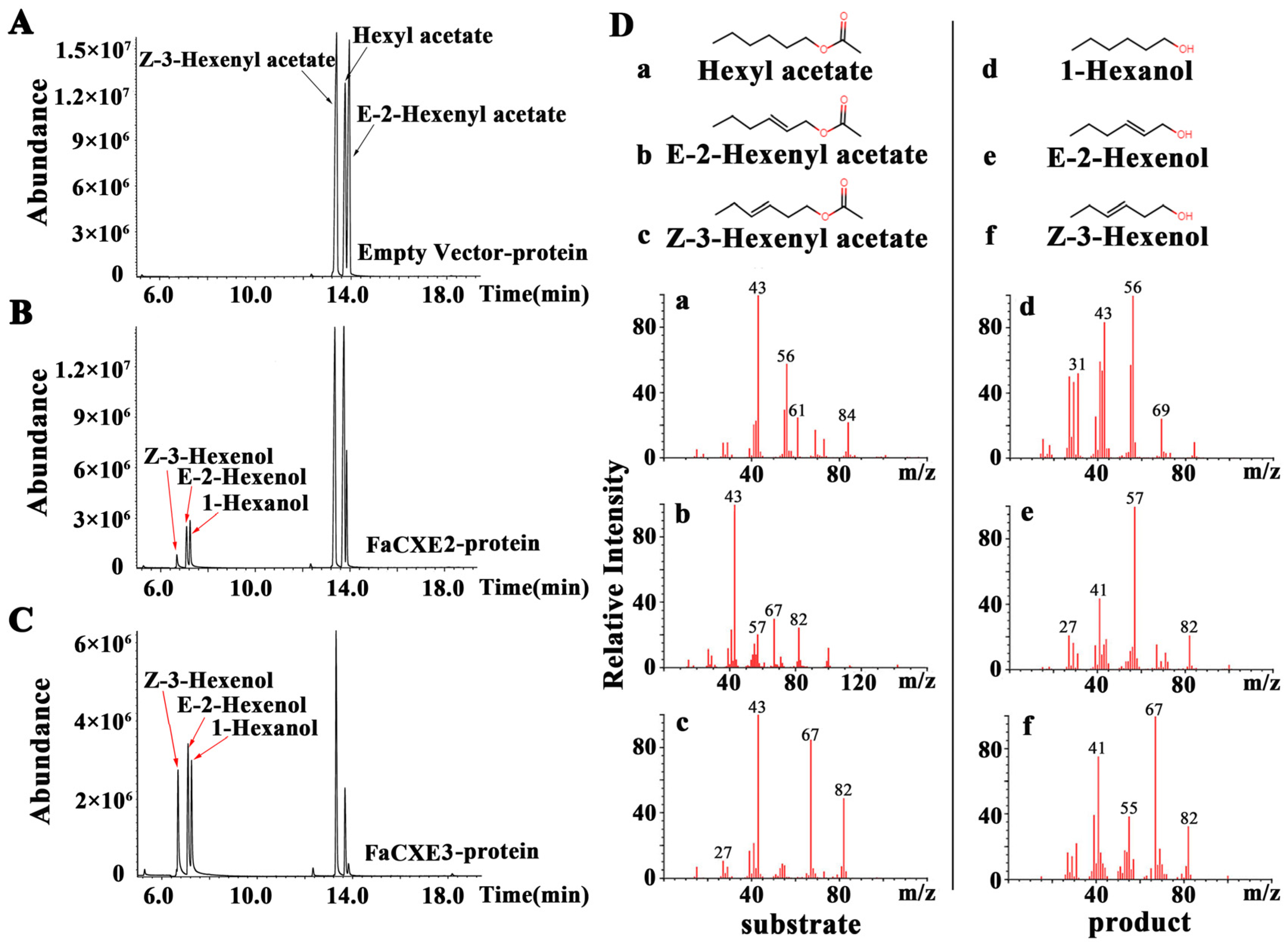 Ijms 24 00383 g005 Ijms 24 00383 g005