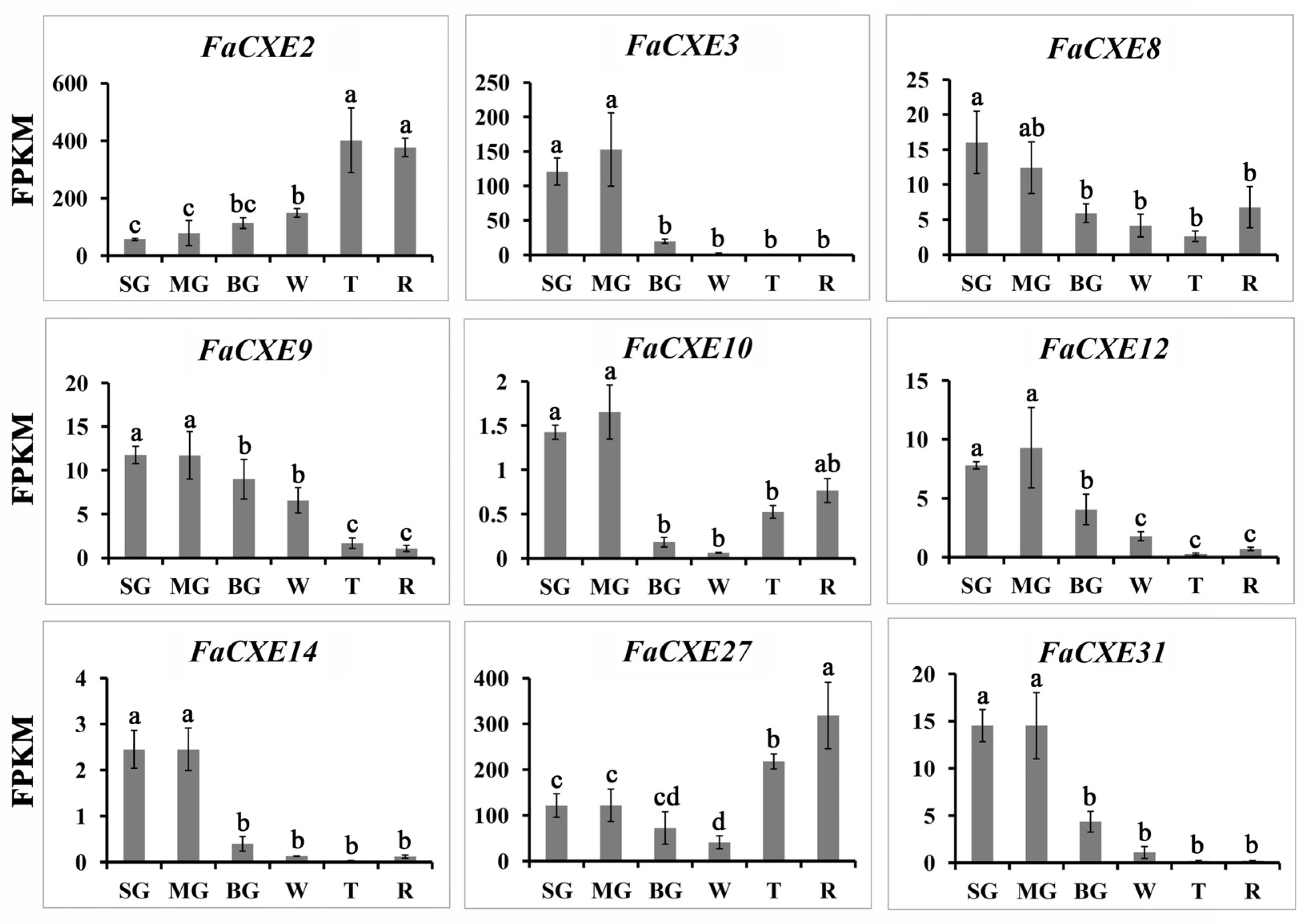 Ijms 24 00383 g006 Ijms 24 00383 g006
