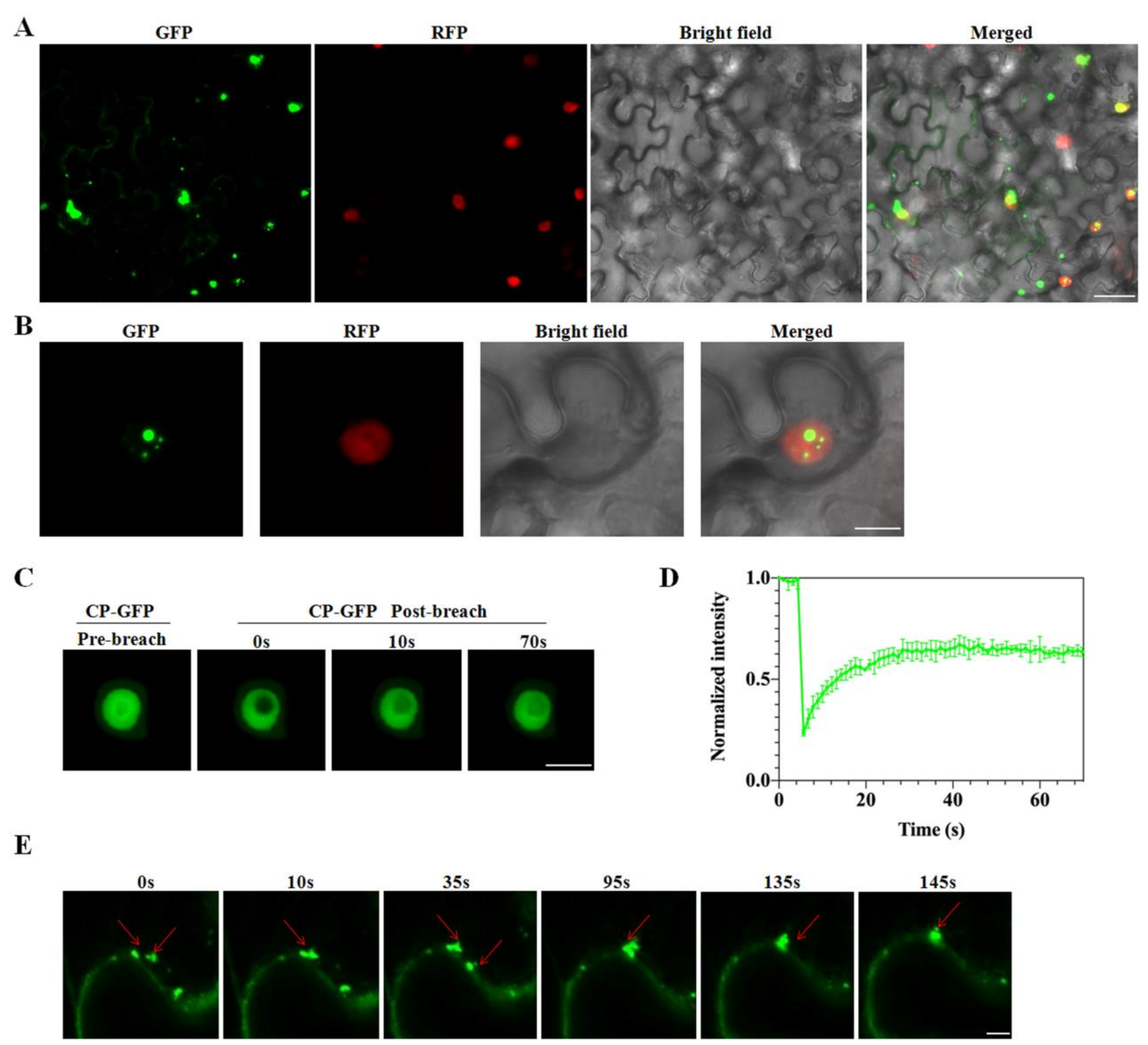 Ijms 24 00412 g006 Ijms 24 00412 g006