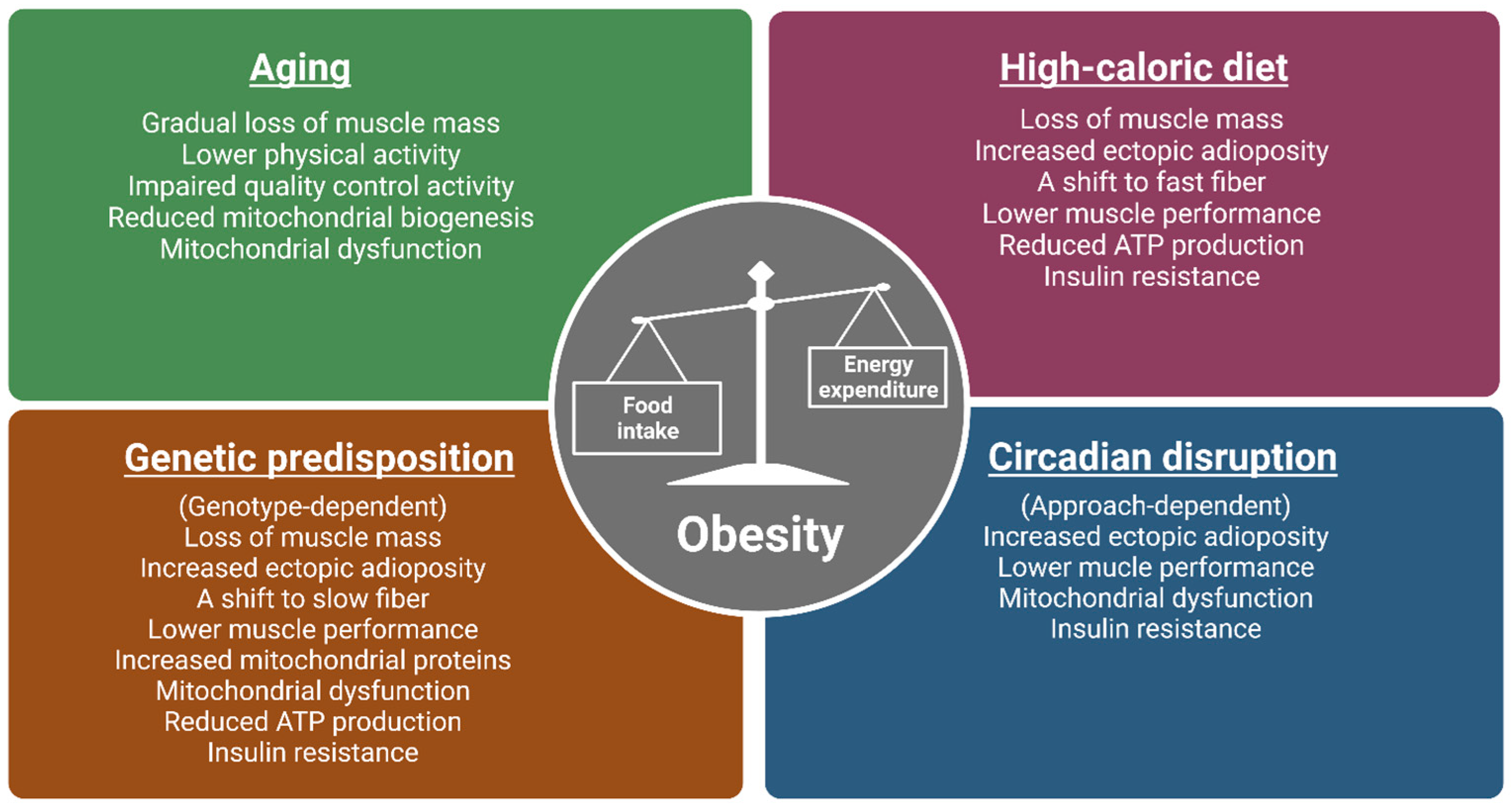 Ijms 24 00422 g001 Ijms 24 00422 g001