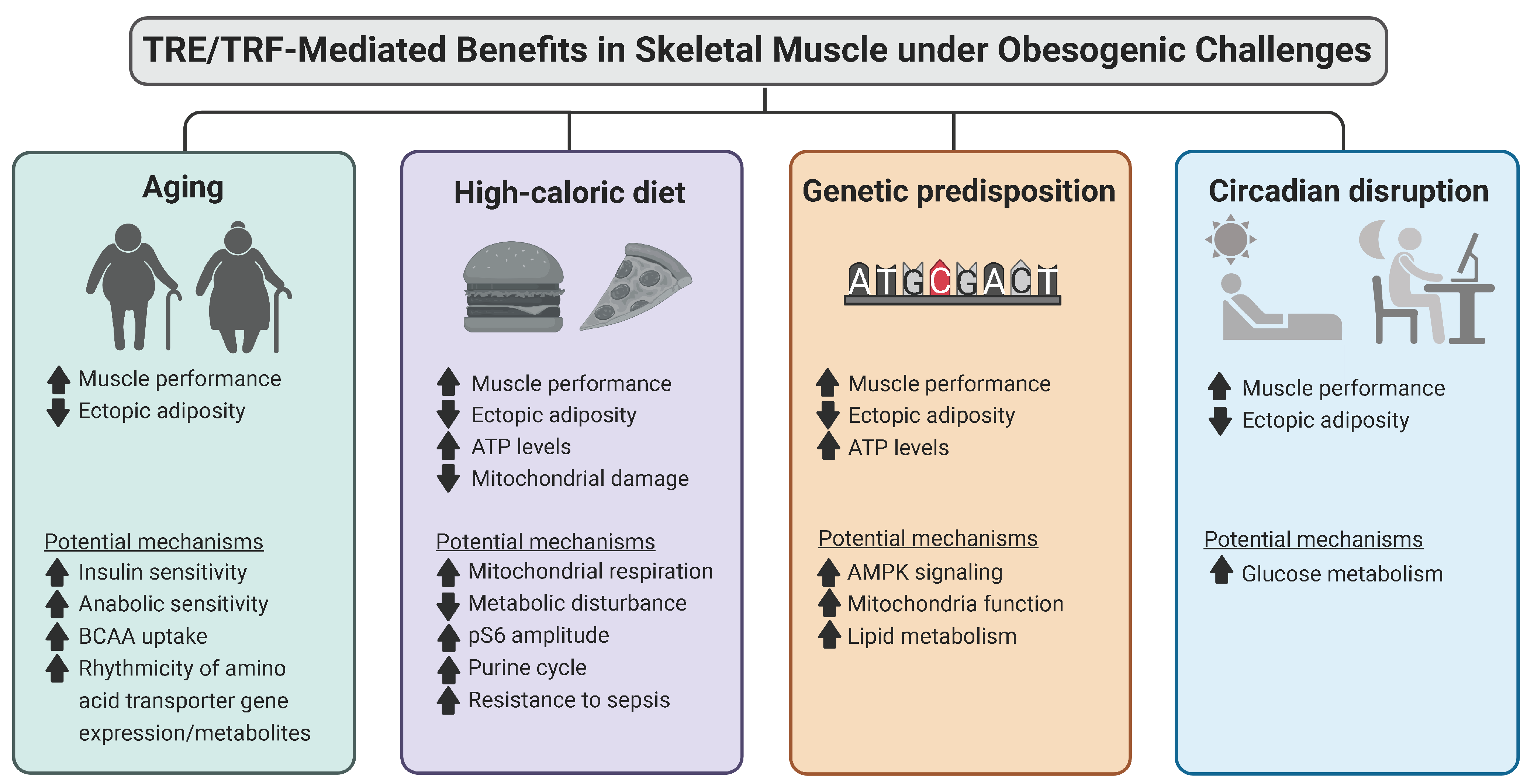 Ijms 24 00422 g002 Ijms 24 00422 g002