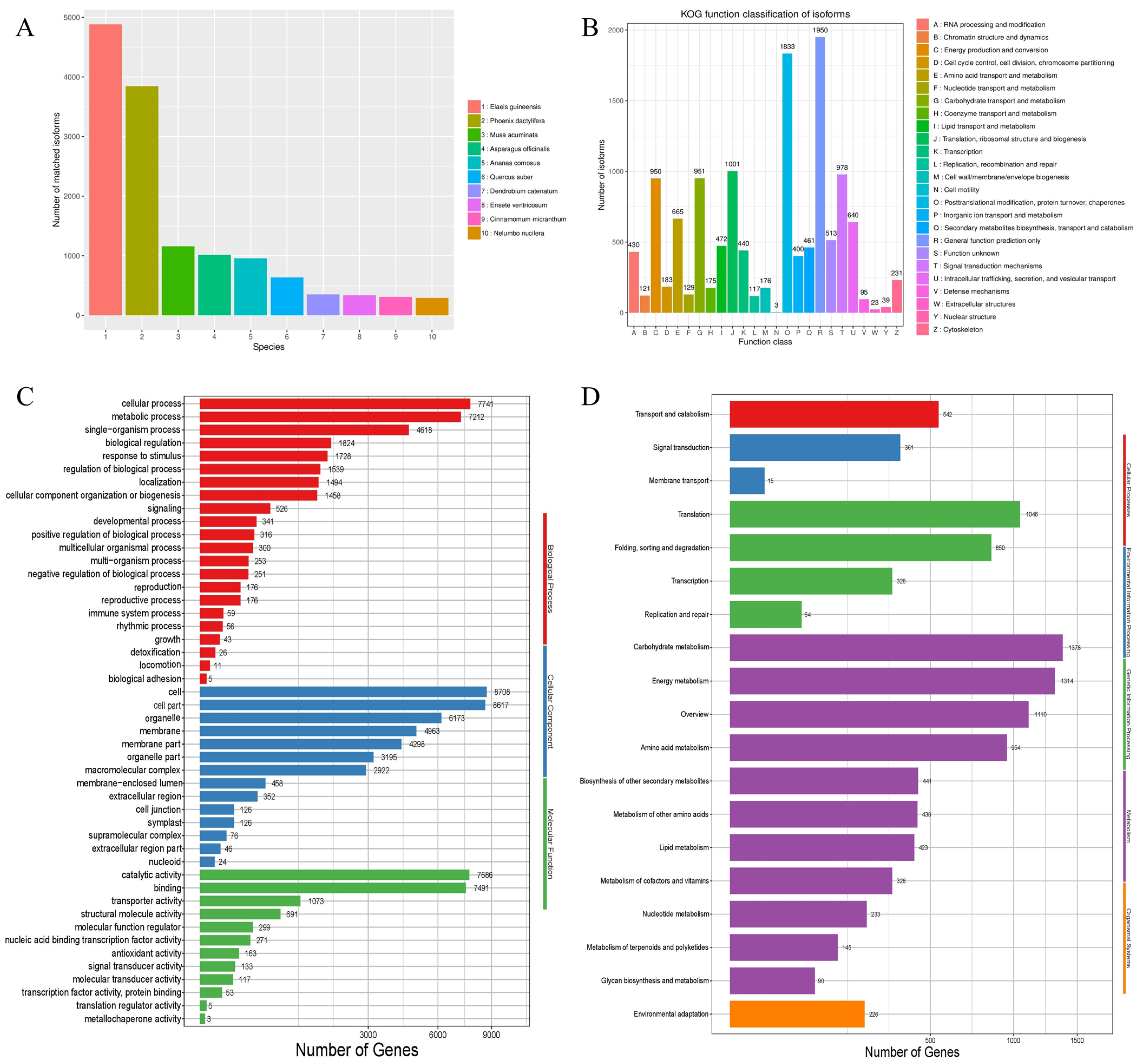 Ijms 24 00425 g001 Ijms 24 00425 g001