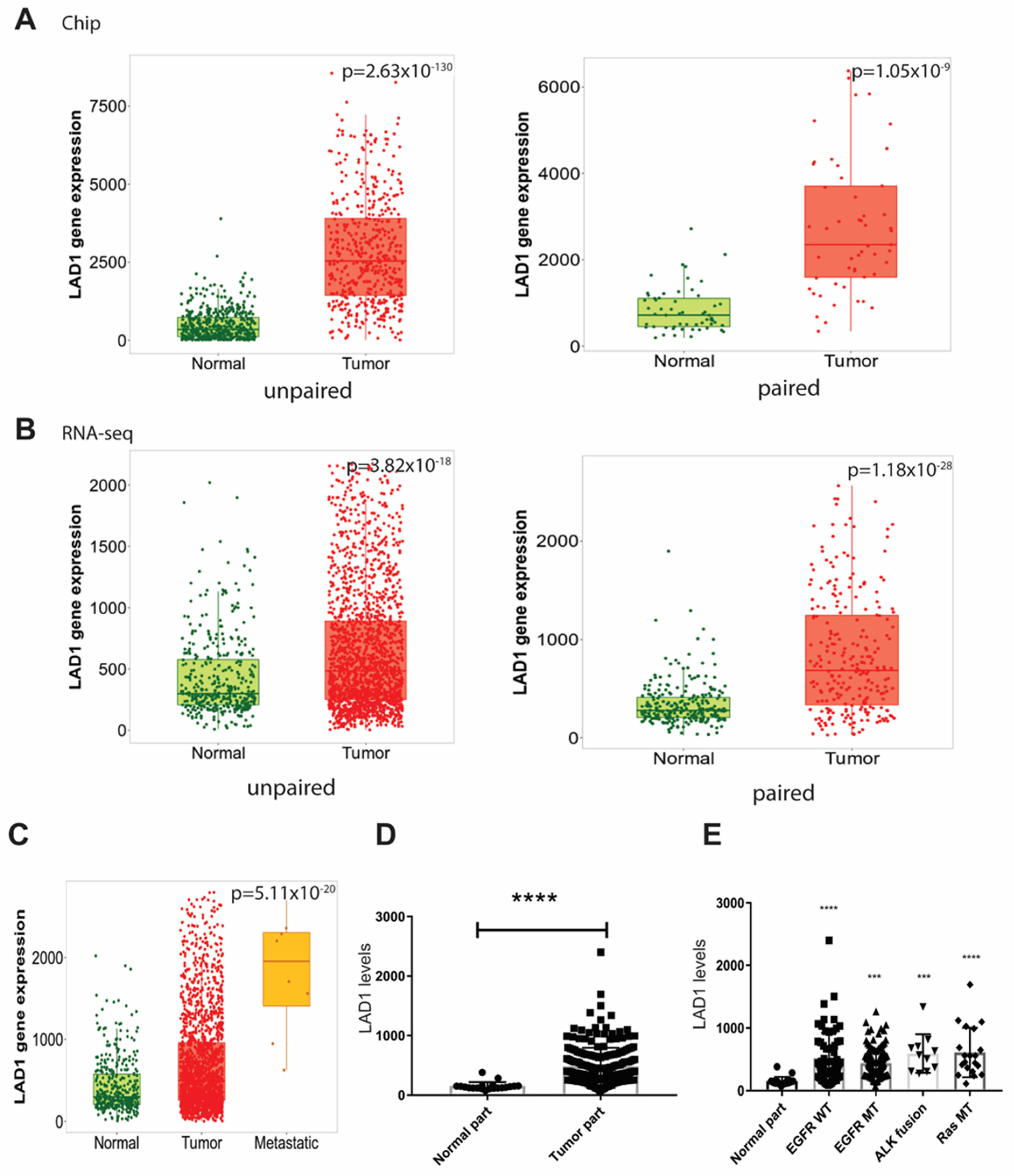 Ijms 24 00431 g001 Ijms 24 00431 g001