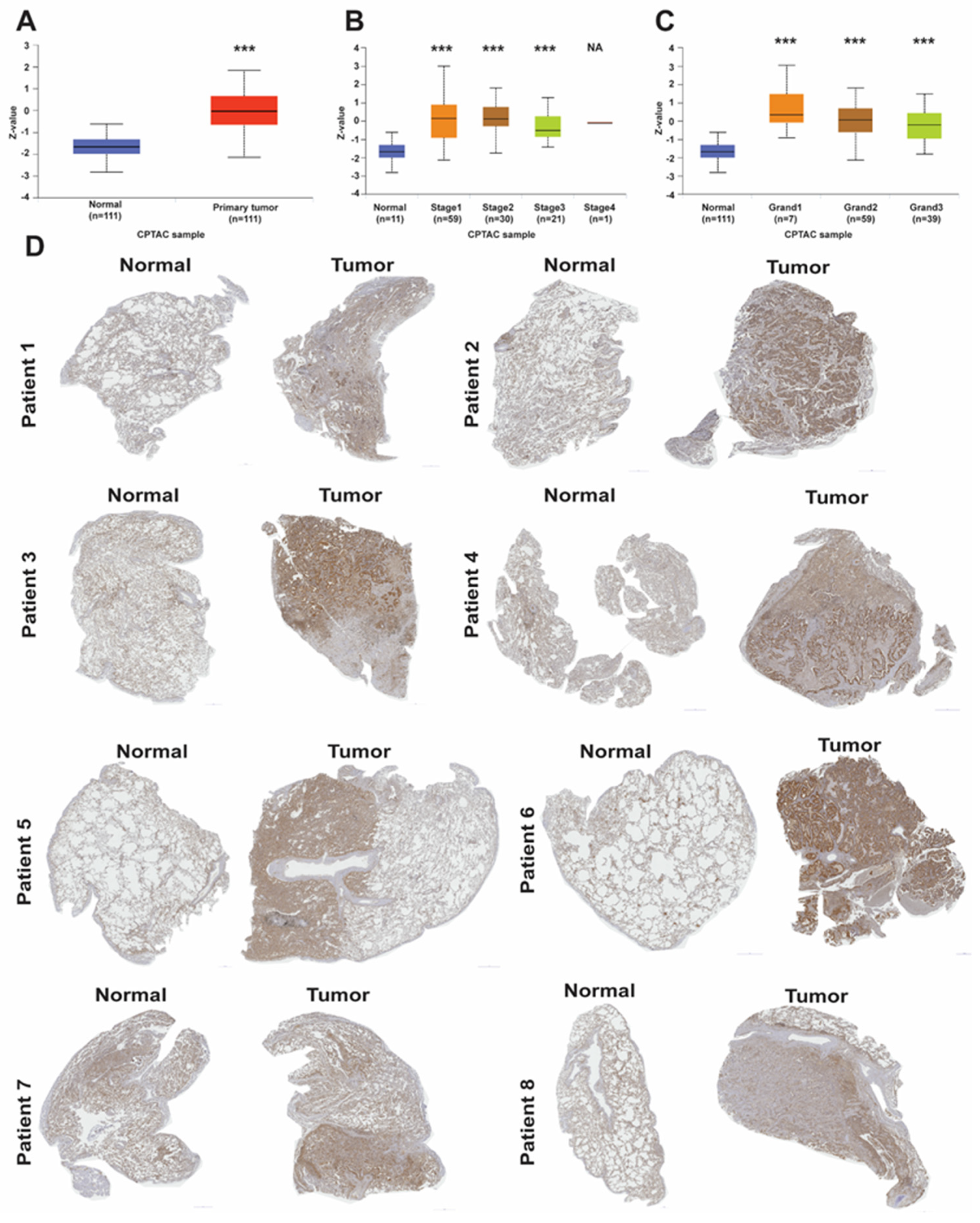 Ijms 24 00431 g002 Ijms 24 00431 g002