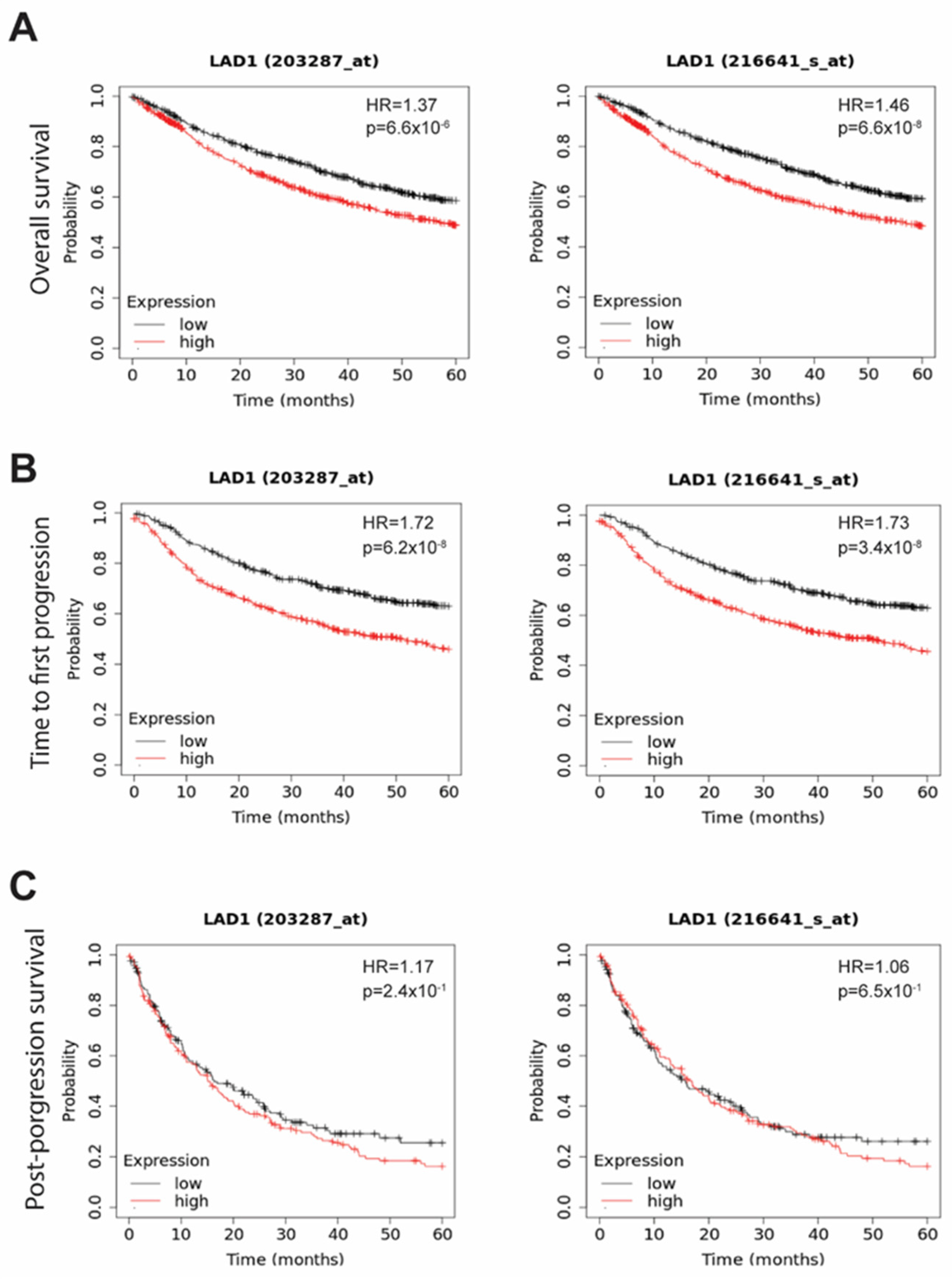 Ijms 24 00431 g003 Ijms 24 00431 g003