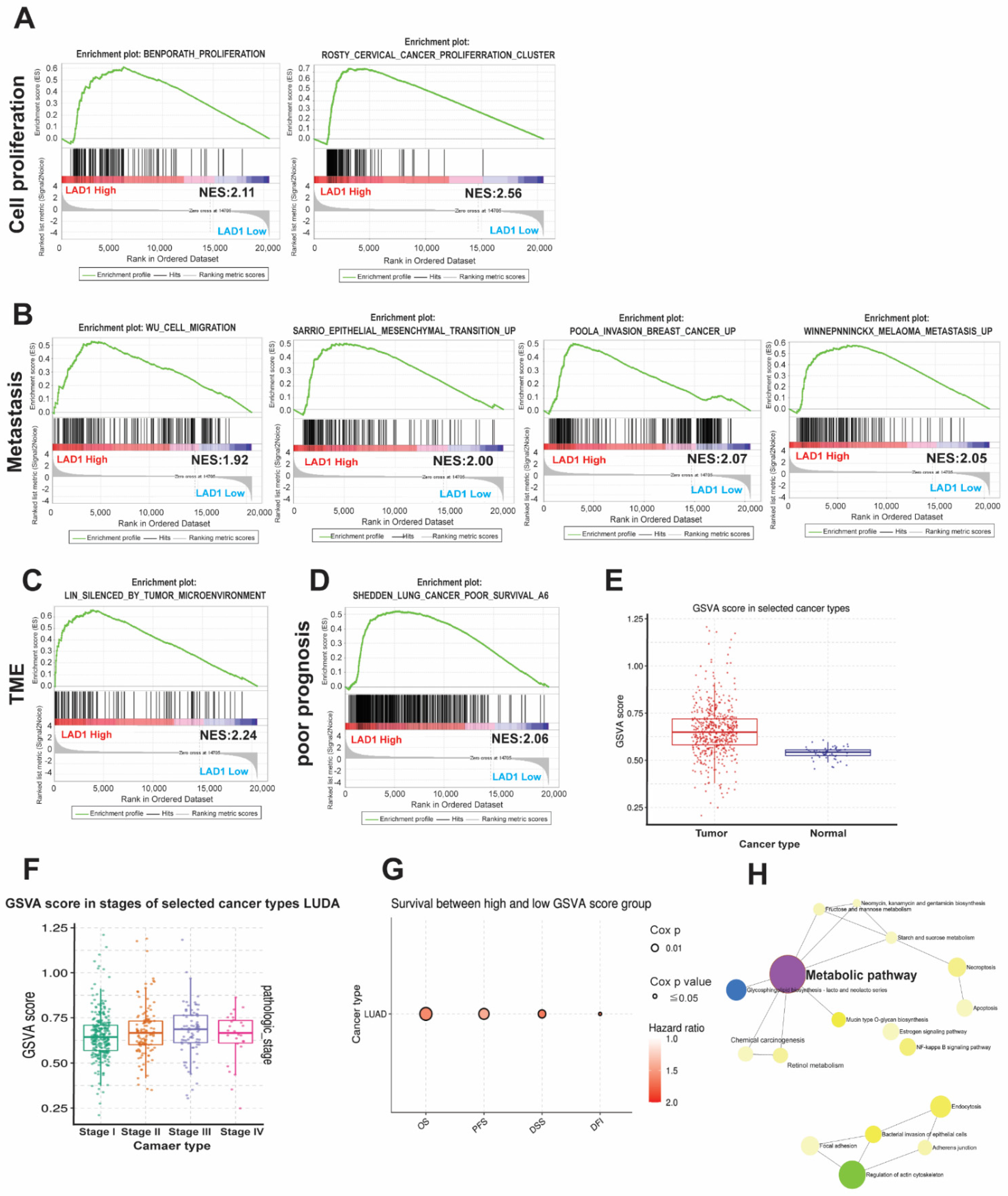 Ijms 24 00431 g004 Ijms 24 00431 g004