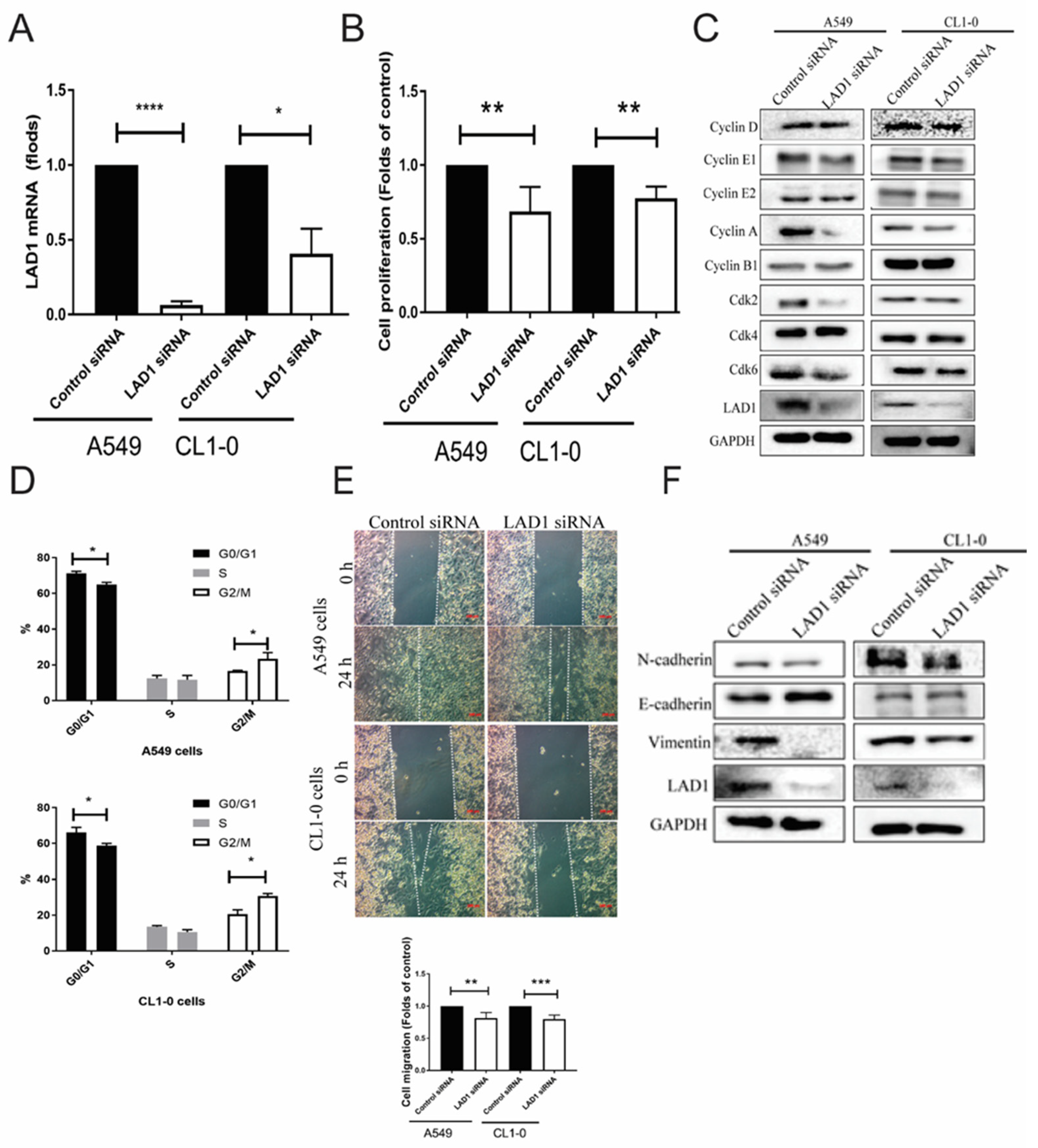 Ijms 24 00431 g007 Ijms 24 00431 g007