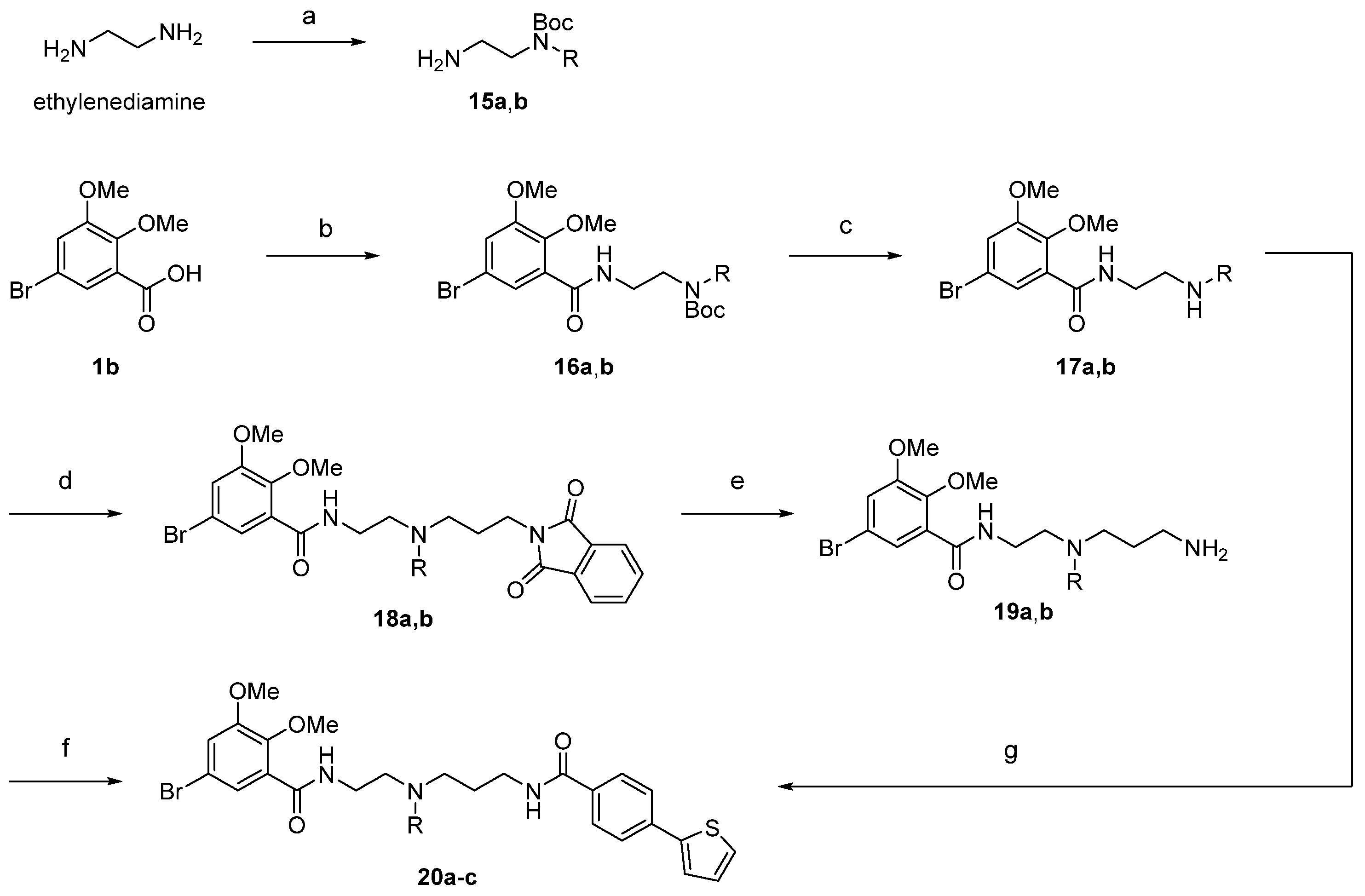 Ijms 24 00432 sch004