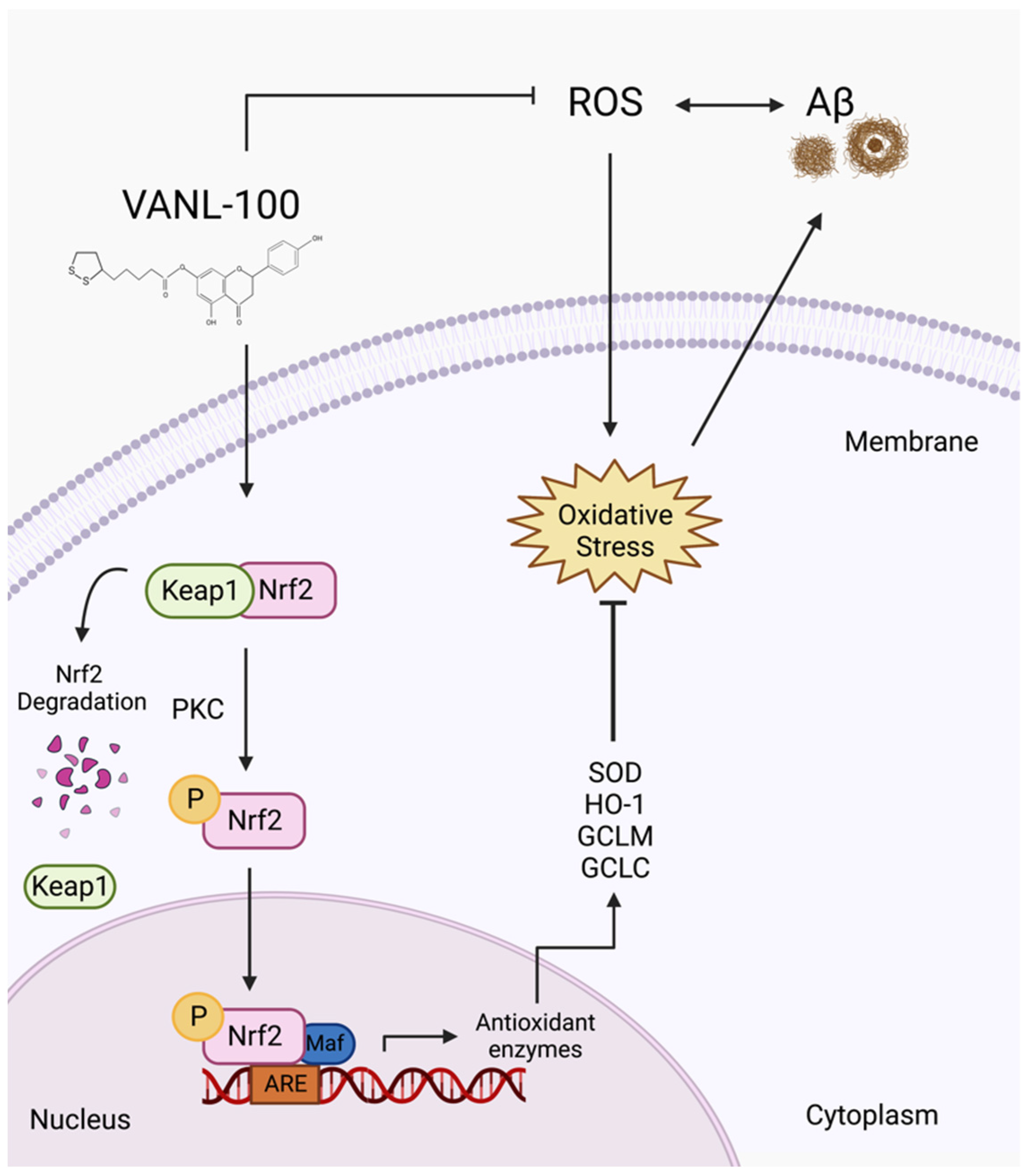 Ijms 24 00442 g009 Ijms 24 00442 g009