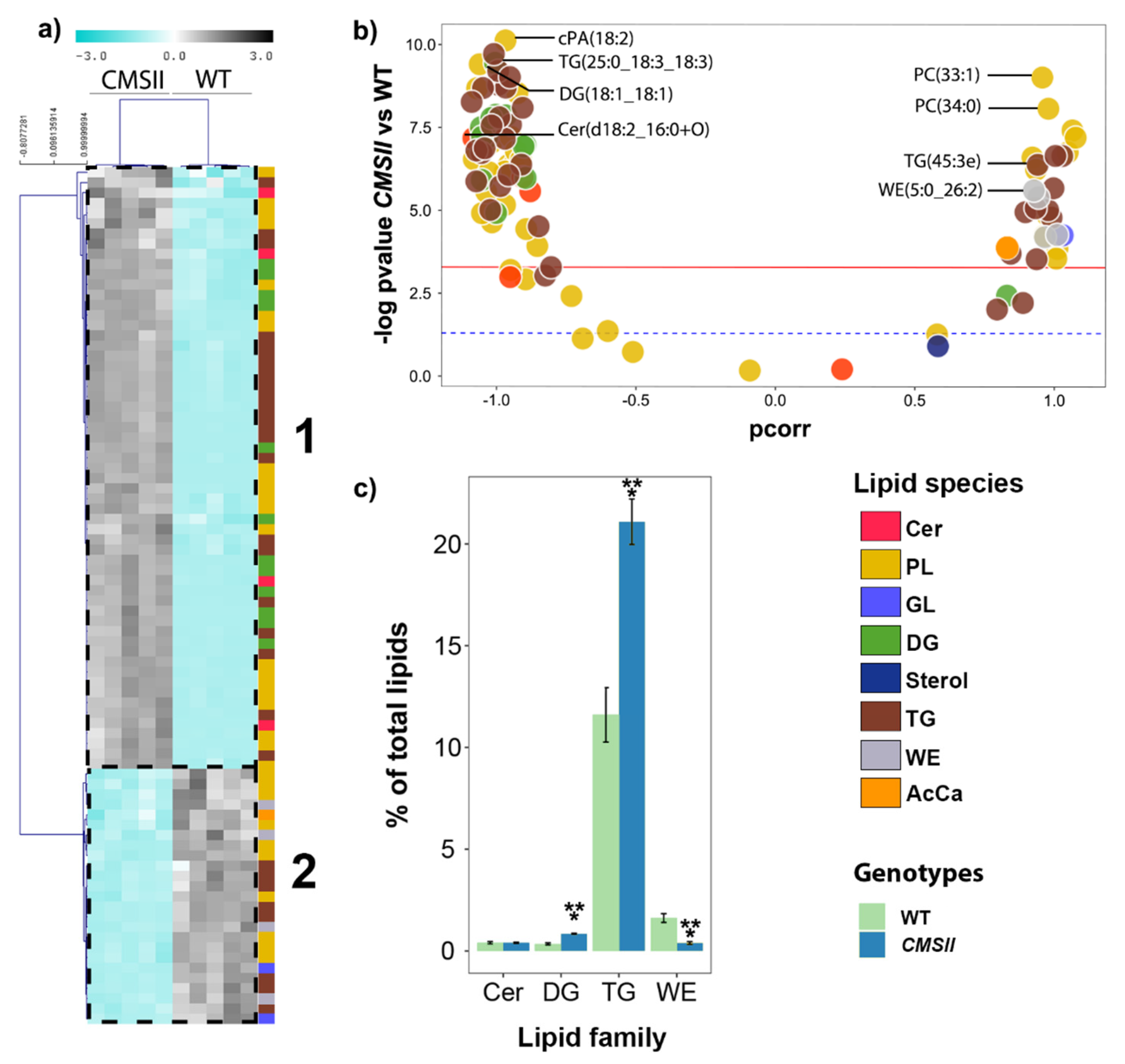 Ijms 24 00453 g004 Ijms 24 00453 g004