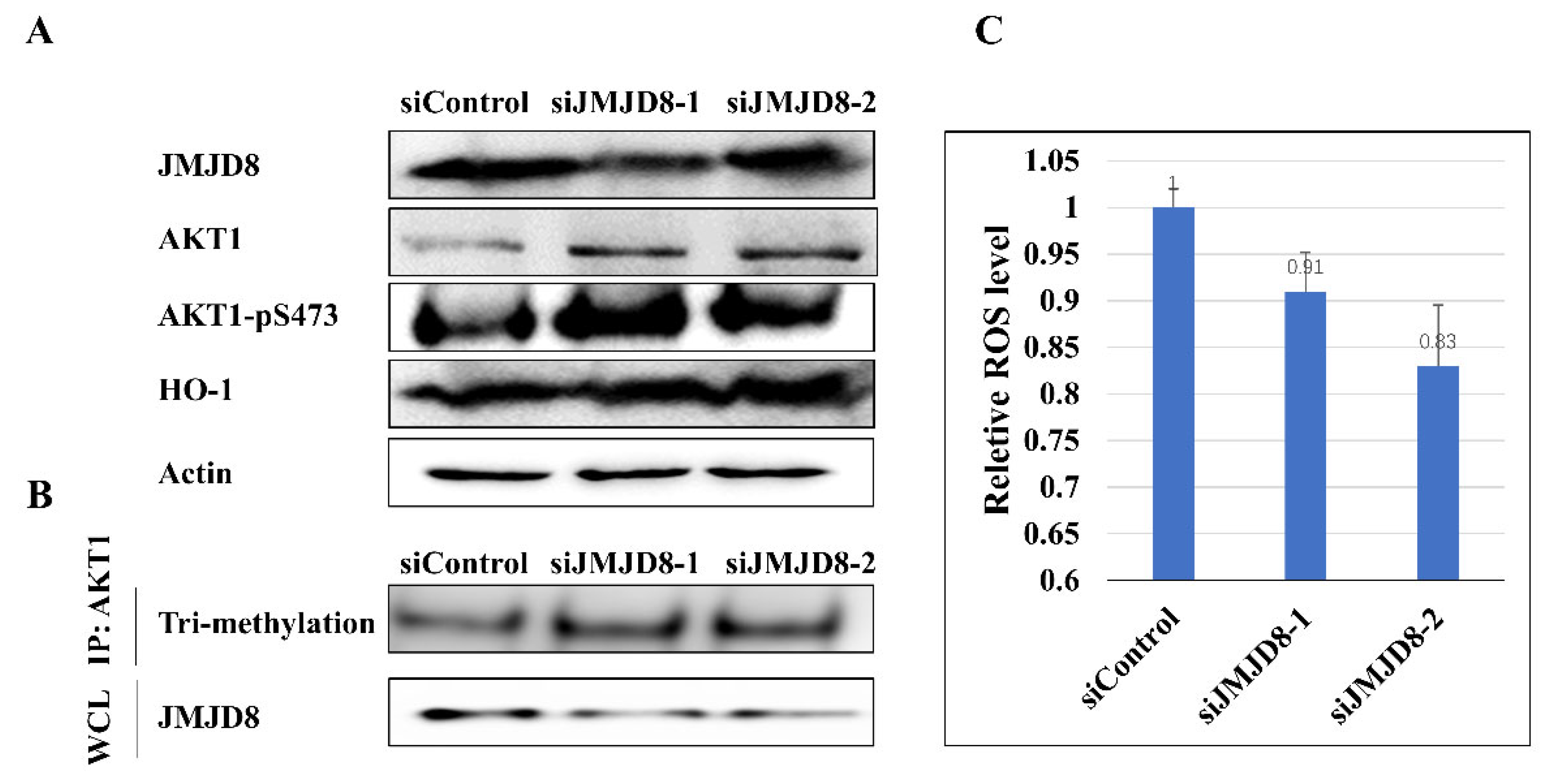 Ijms 24 00460 g004 Ijms 24 00460 g004