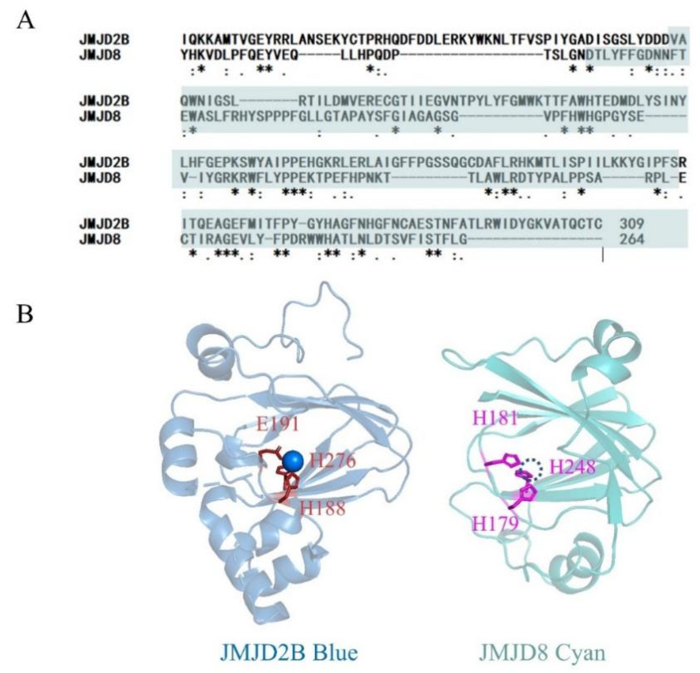 Ijms 24 00460 g005 Ijms 24 00460 g005