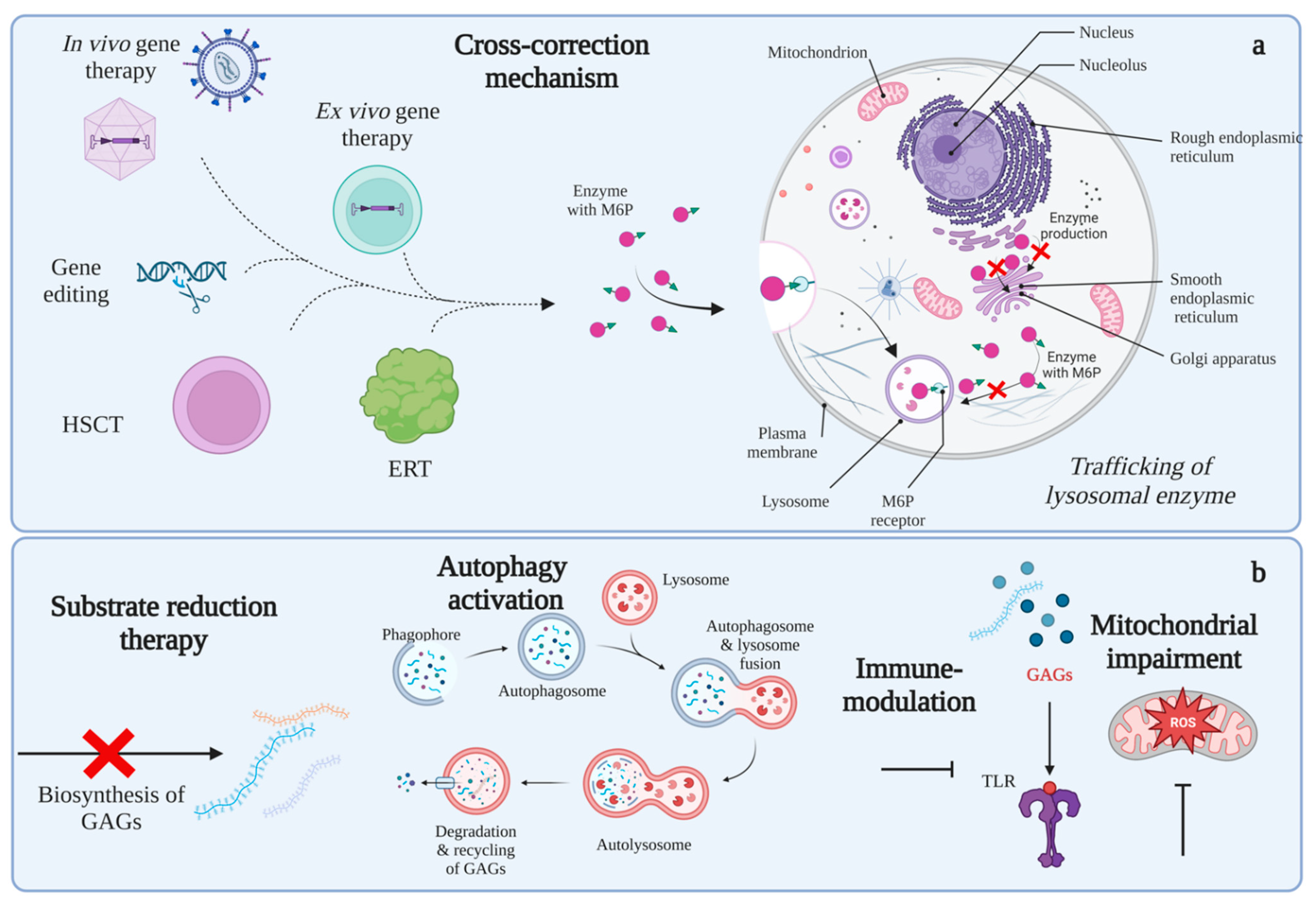 Ijms 24 00477 g003 Ijms 24 00477 g003