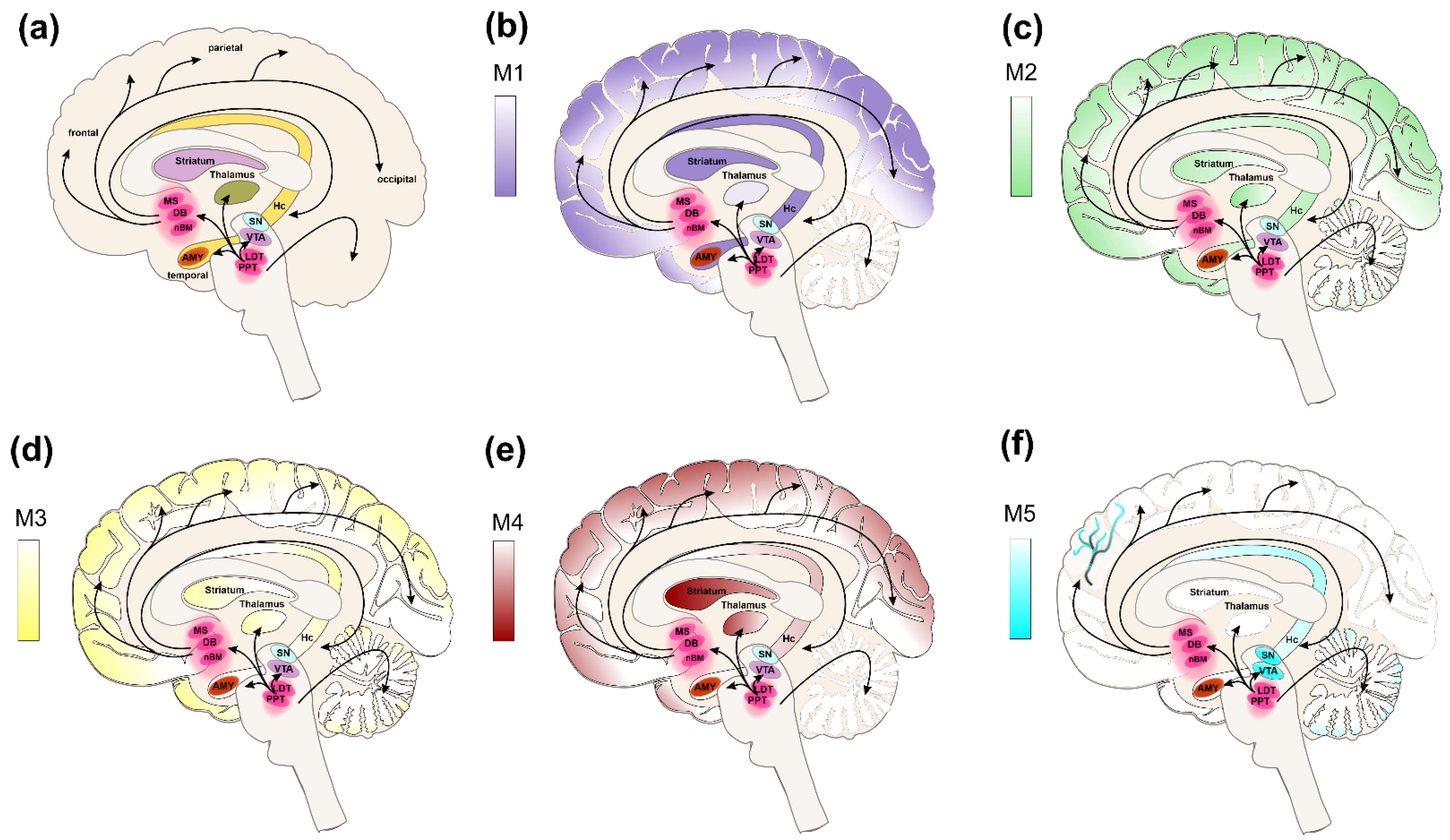 Ijms 24 00507 g001 Ijms 24 00507 g001