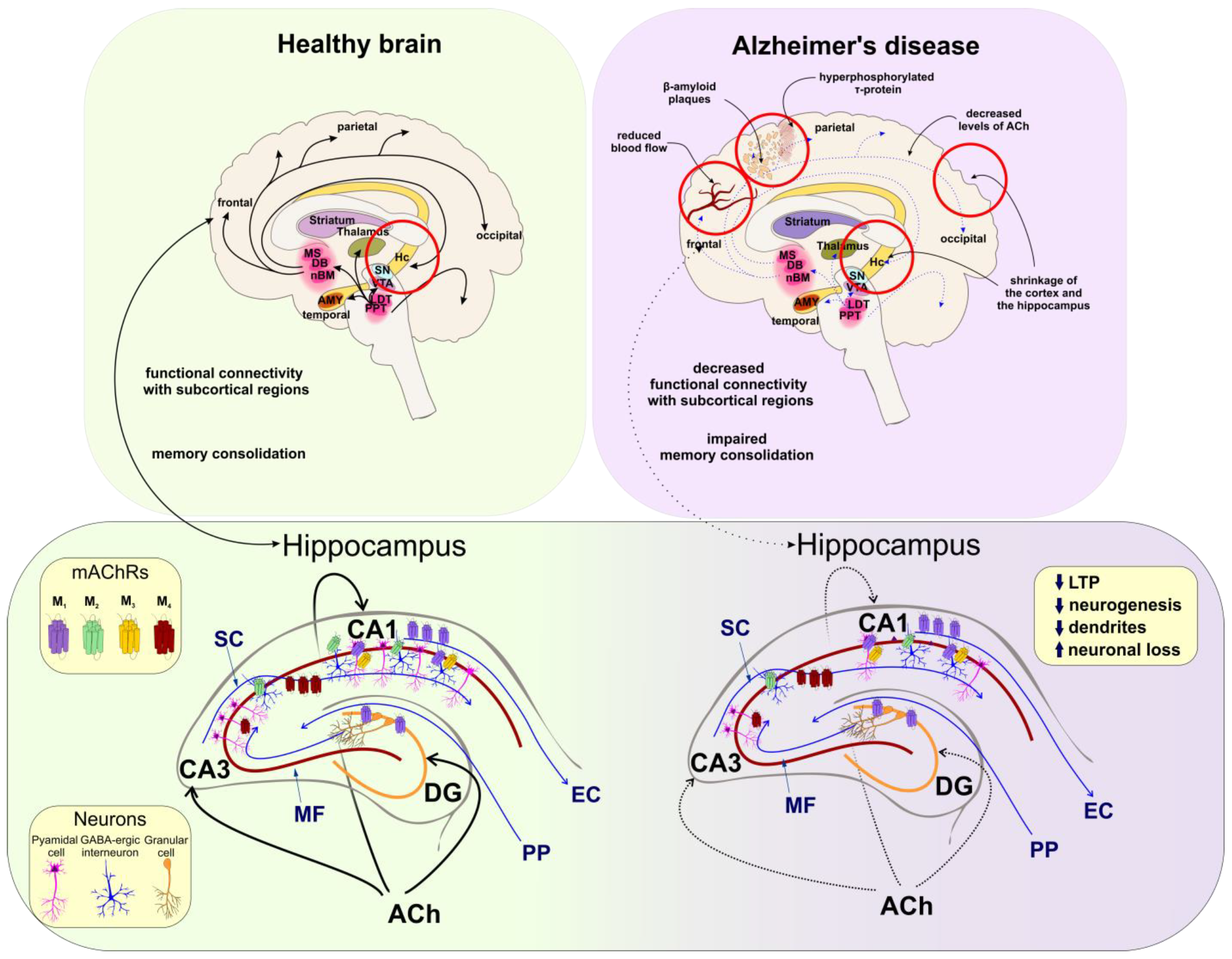 Ijms 24 00507 g002 Ijms 24 00507 g002