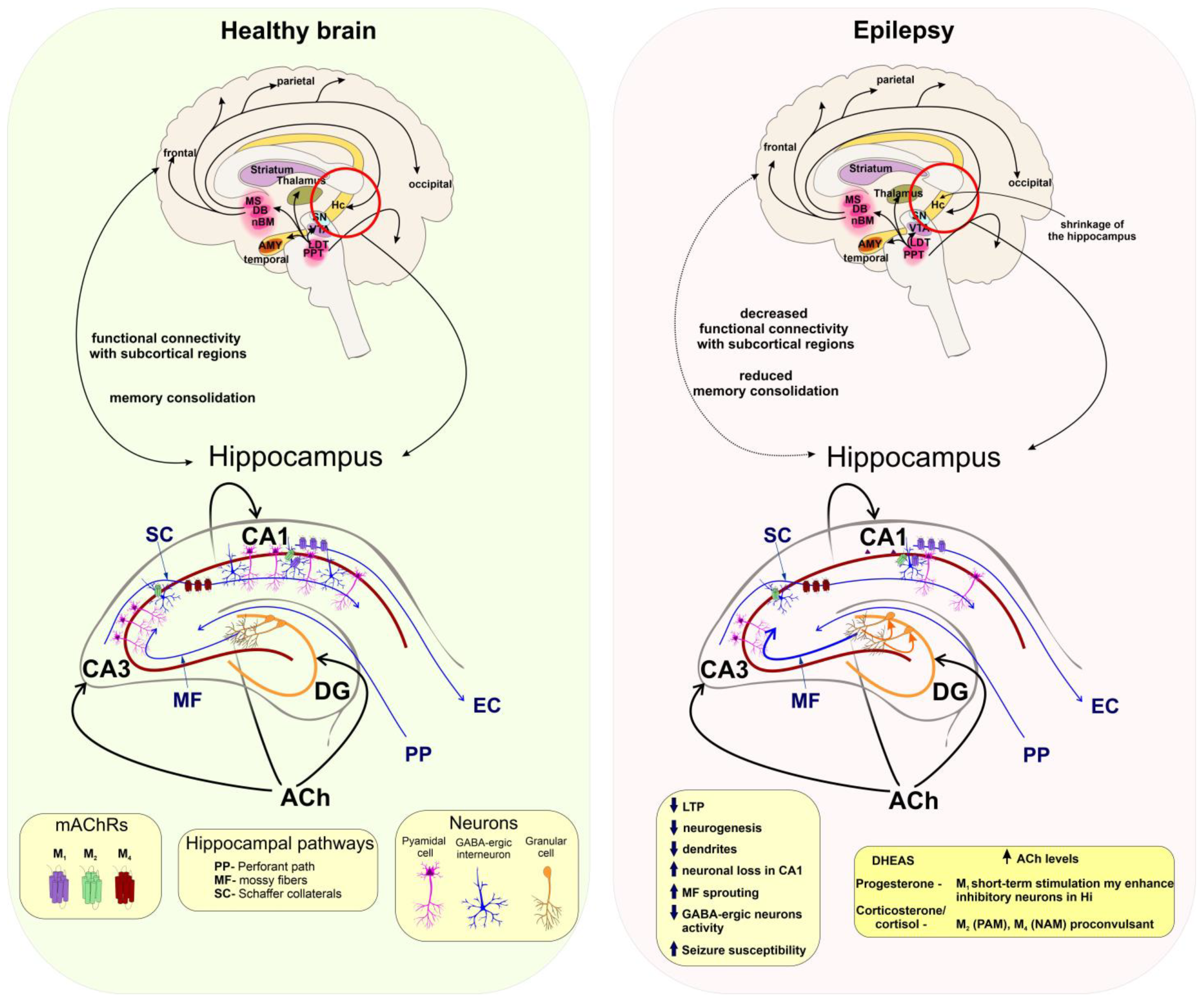 Ijms 24 00507 g004 Ijms 24 00507 g004