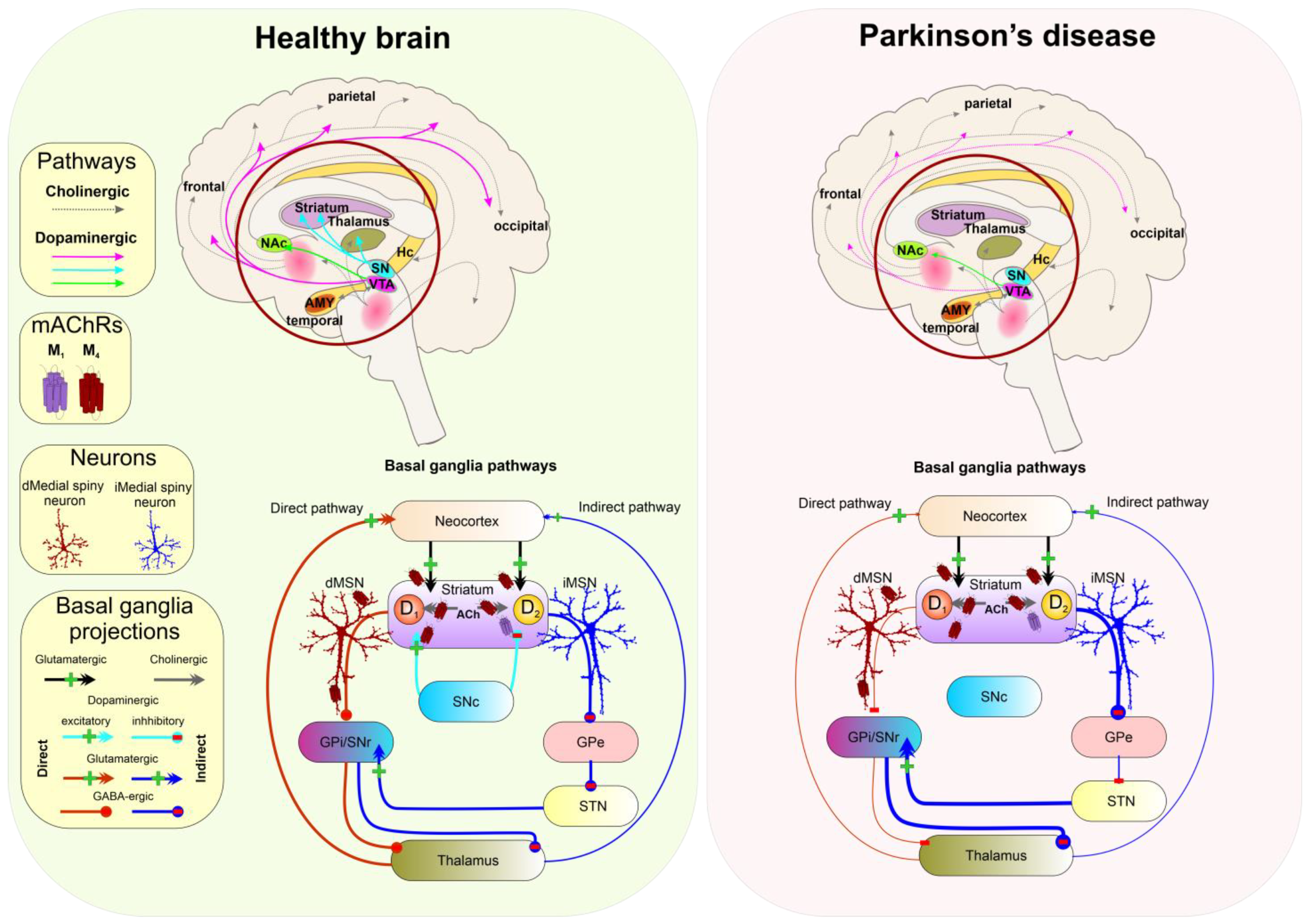 Ijms 24 00507 g005 Ijms 24 00507 g005