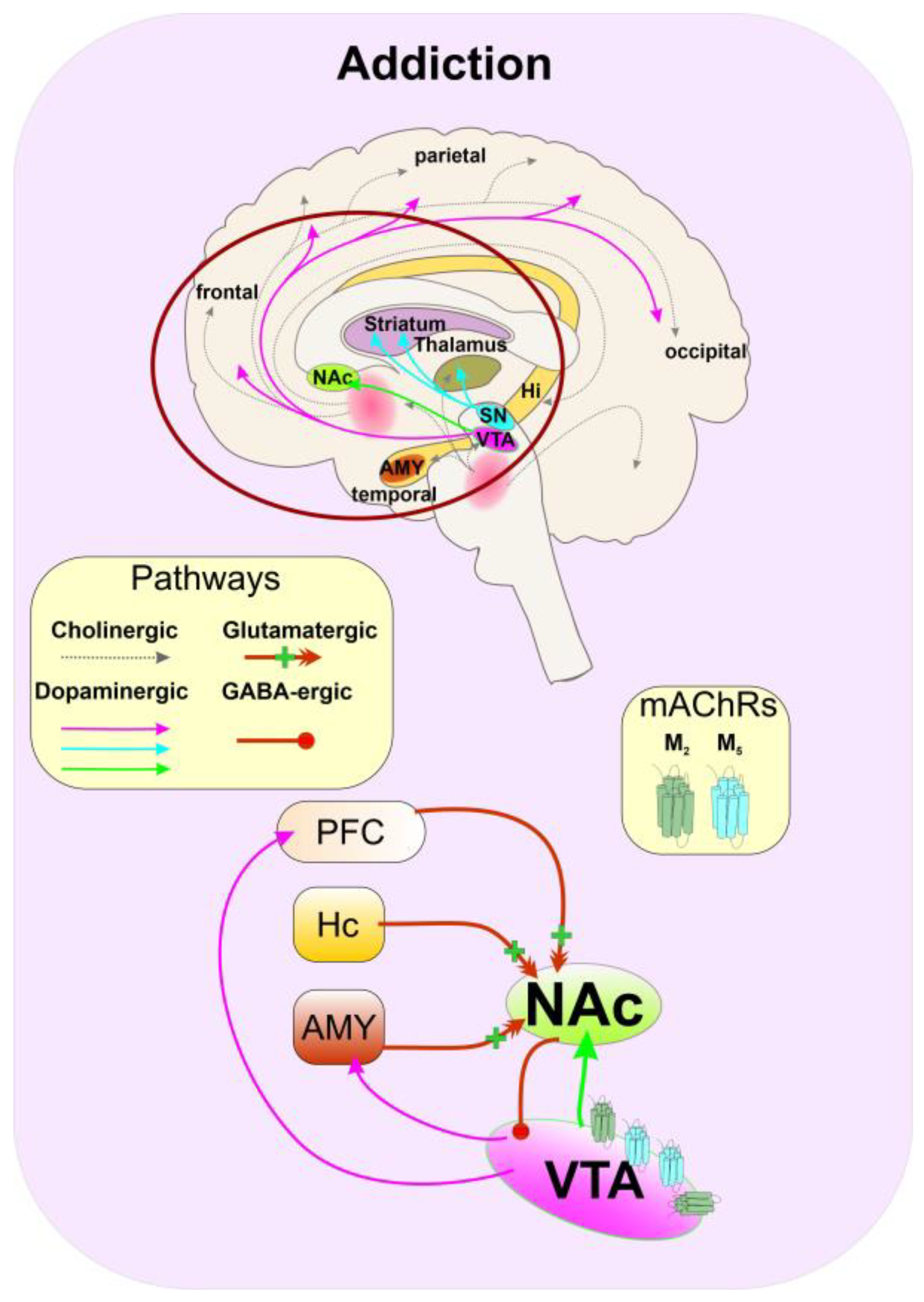 Ijms 24 00507 g006 Ijms 24 00507 g006