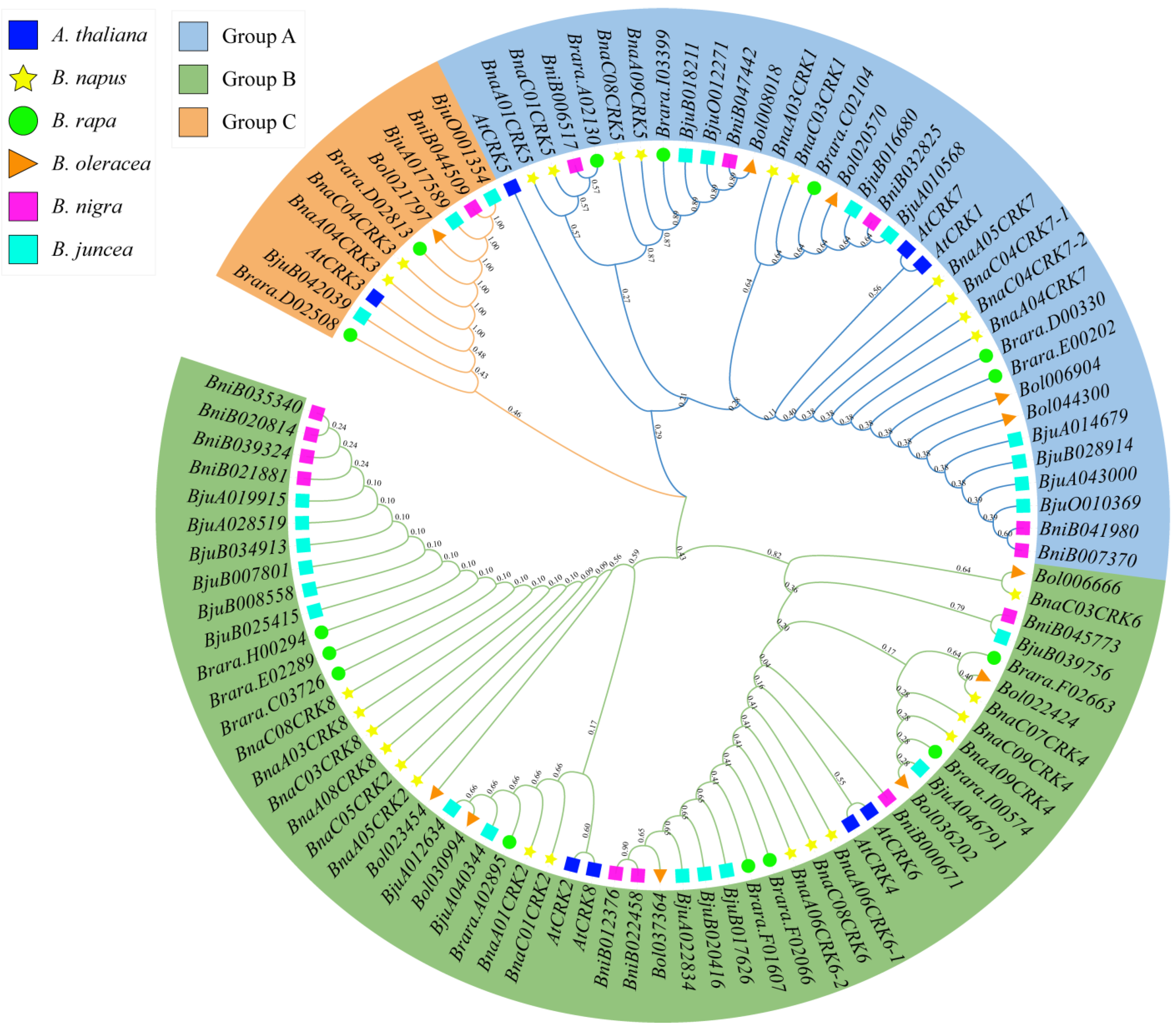 Ijms 24 00511 g001 Ijms 24 00511 g001