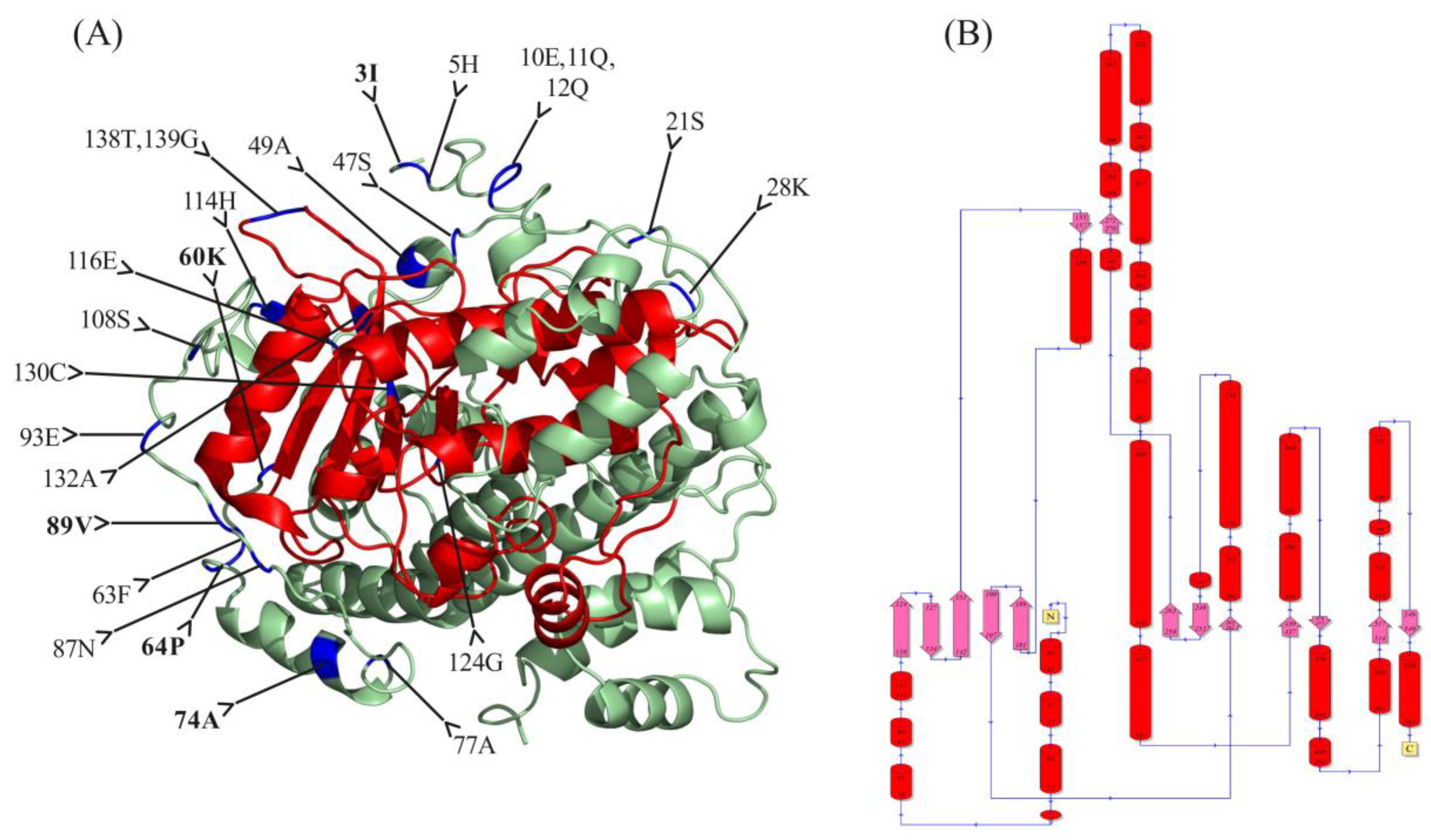 Ijms 24 00511 g003 Ijms 24 00511 g003