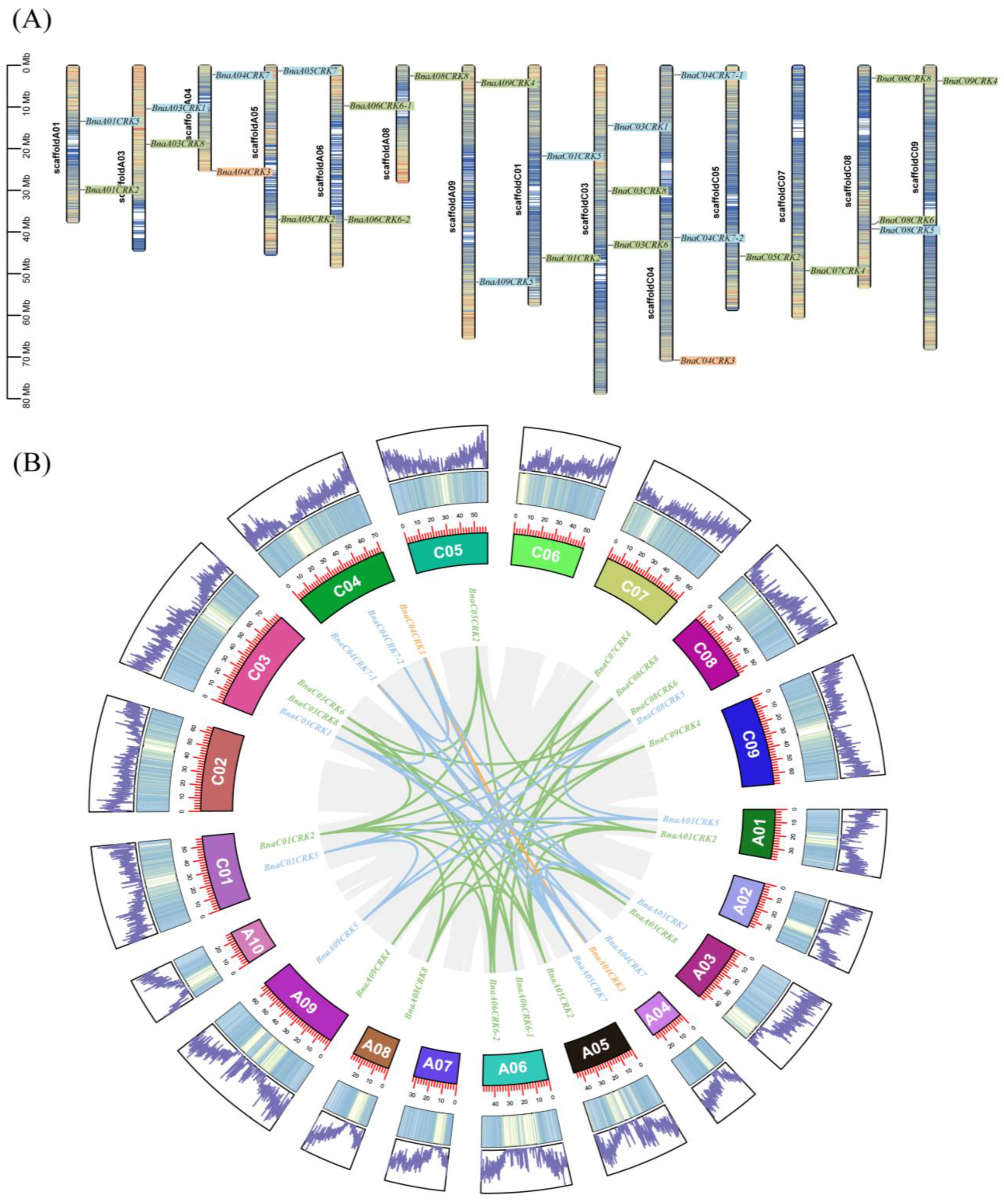 Ijms 24 00511 g004 Ijms 24 00511 g004