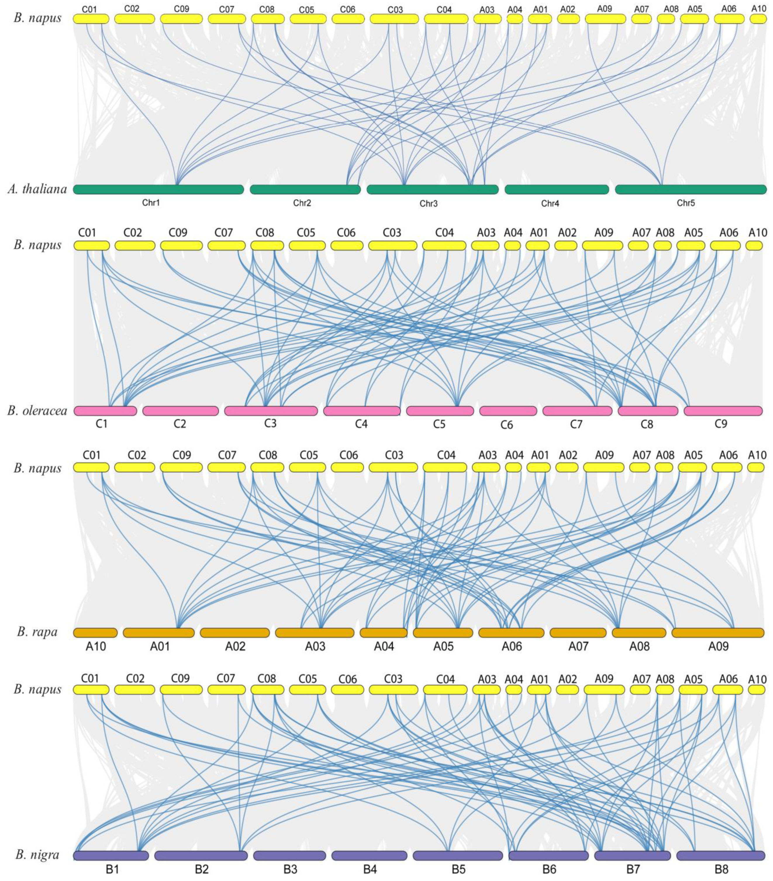 Ijms 24 00511 g005 Ijms 24 00511 g005